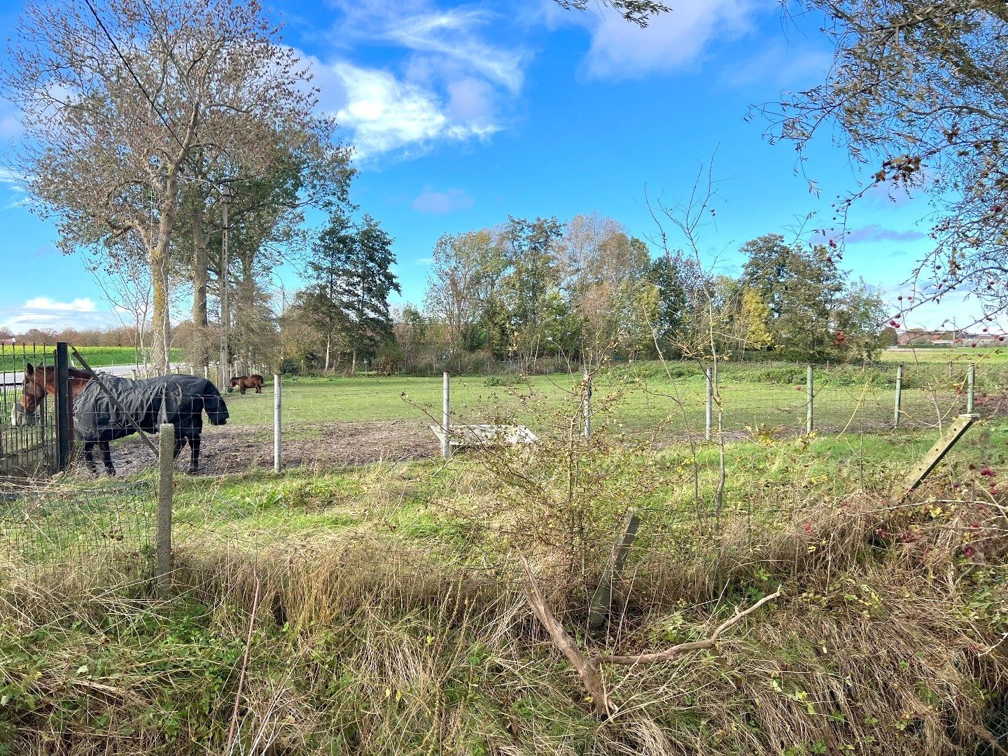 Grote woonst met drie entiteiten op 5408m2 te koop te Zwevegem! foto 11