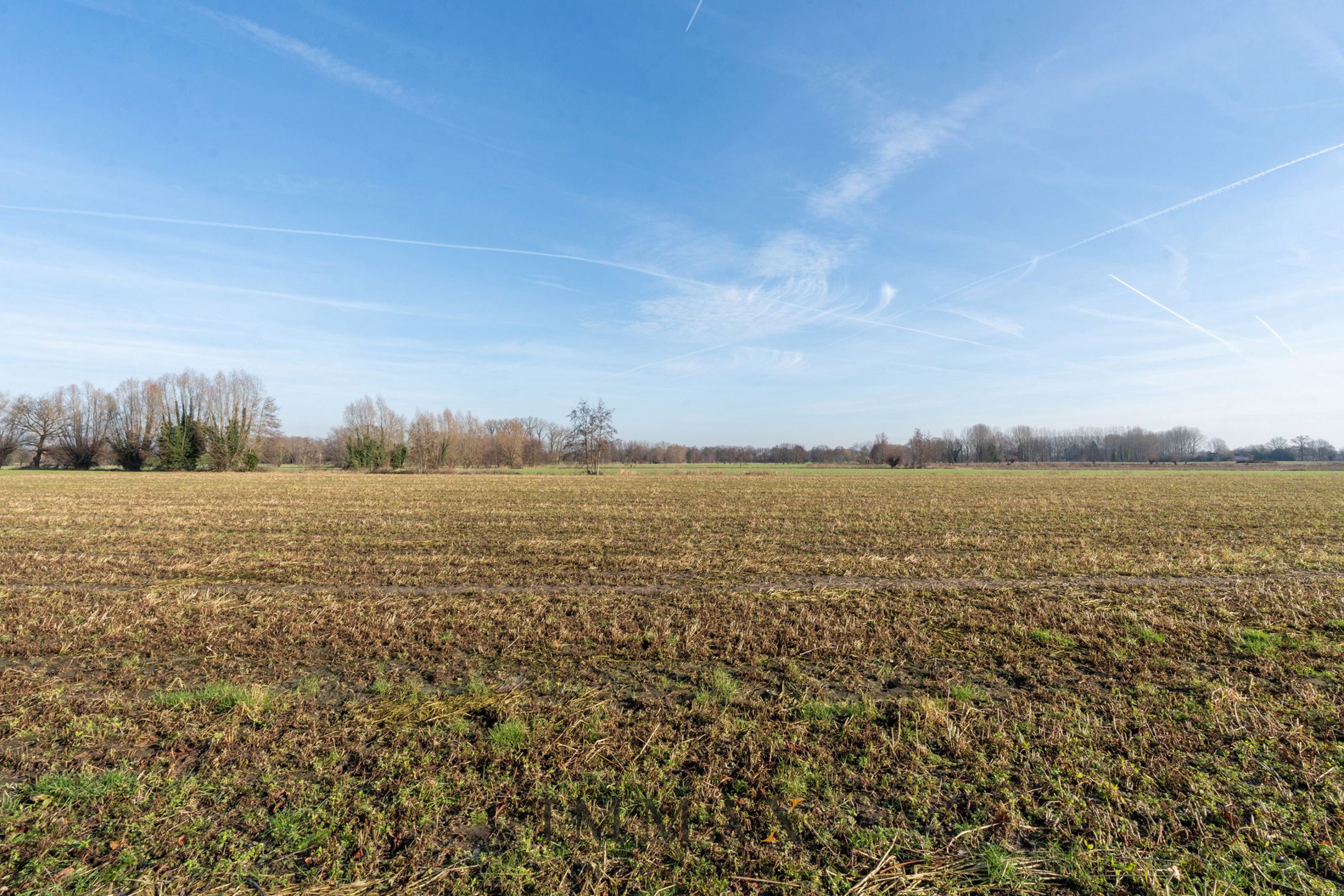 Landelijk gelegen ééngezinswoning met loods foto 19