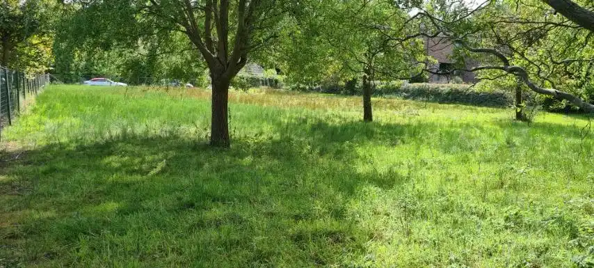 Mooi BOUWPERCEEL op 16 are 48 ca, straatbreedte 25 meter foto 6