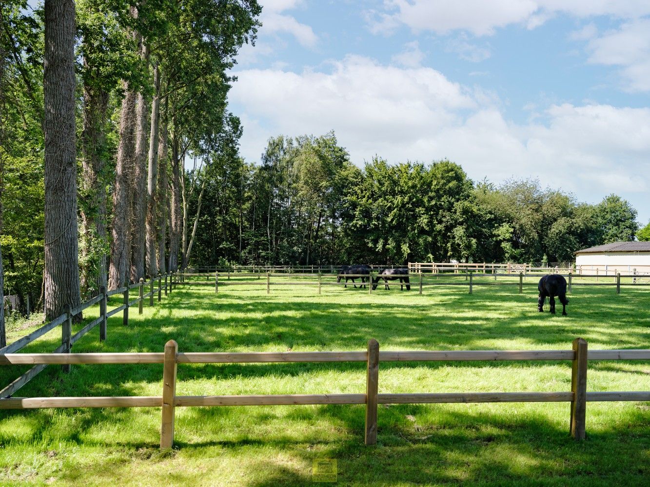 Uitzonderlijk pand - manege met gastenverblijf foto 5