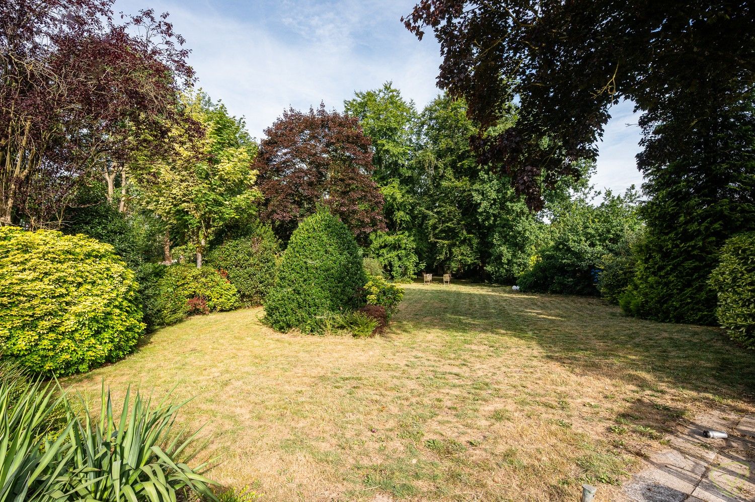 Vrijstaande te renoveren villa op uitzonderlijk groot perceel met bosgrond in Lembeke foto 28