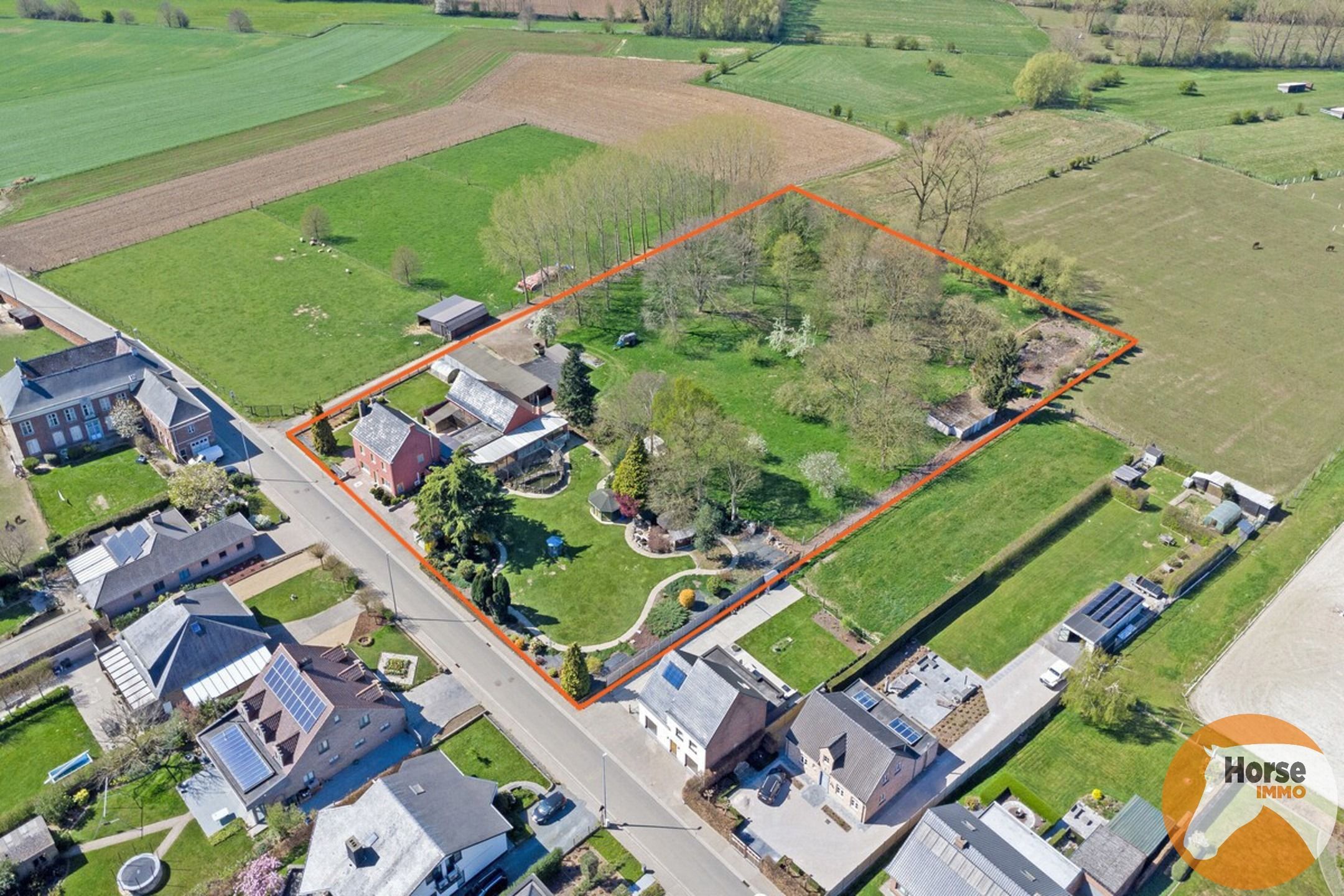 Hoofdfoto van de publicatie: WOUBRECHTEGEM- Karaktervolle renovatiewoning op 1ha 25a 50ca