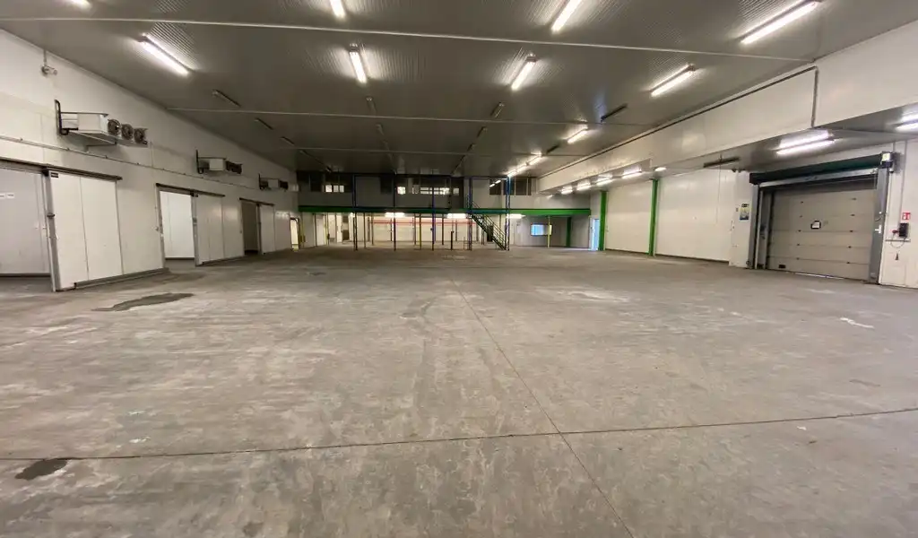 Bedrijfspand te huur aan Groothandelsmarkt Antwerpen foto 4