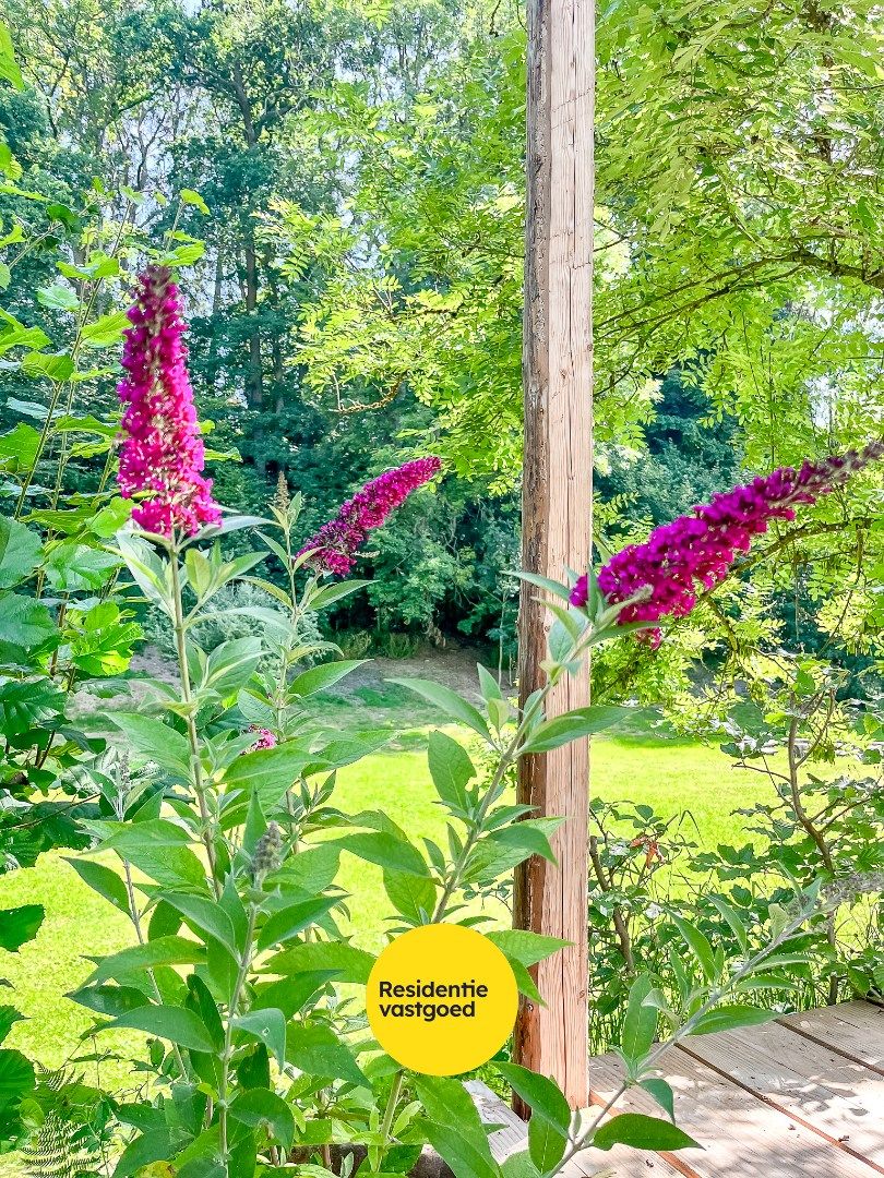 Gerenoveerde vakantiewoningen in het pittoreske Wibrin!  foto 22