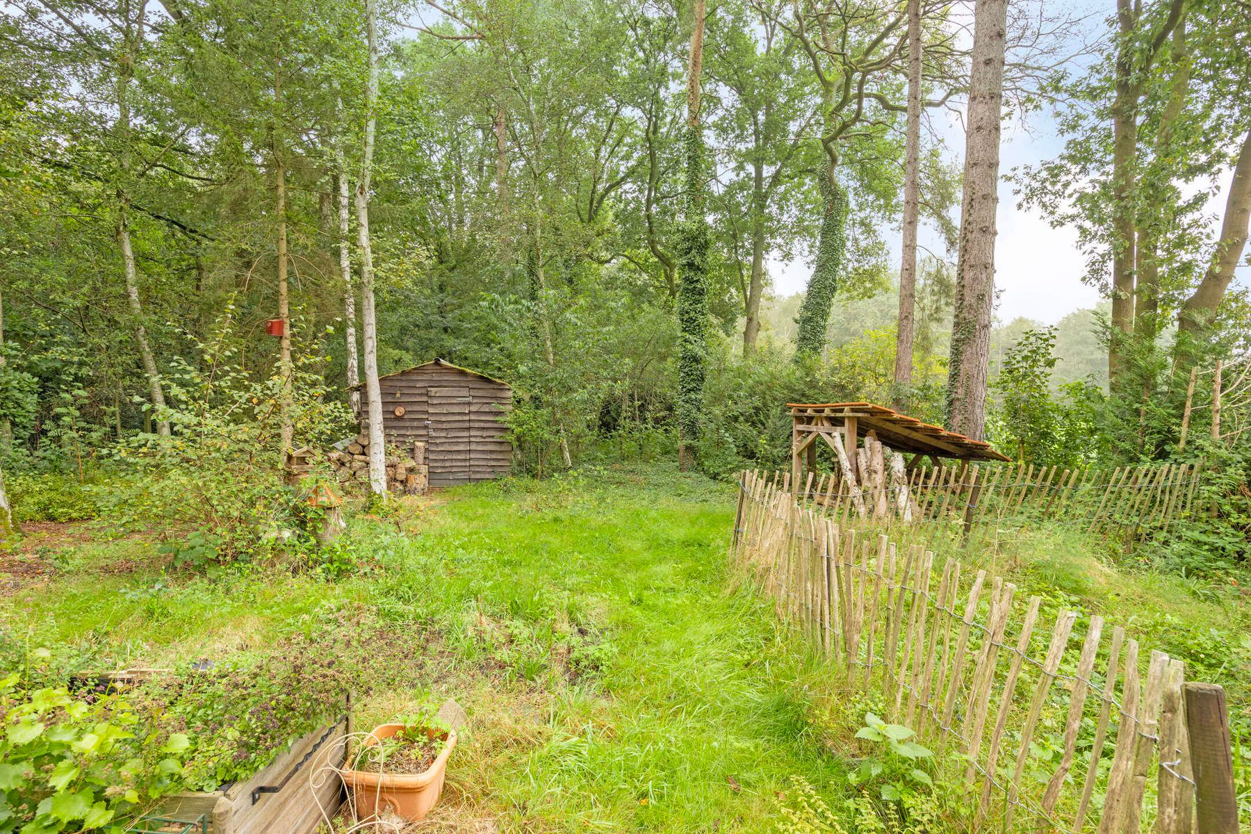 Genieten van eenvoud in een groen kader foto 16