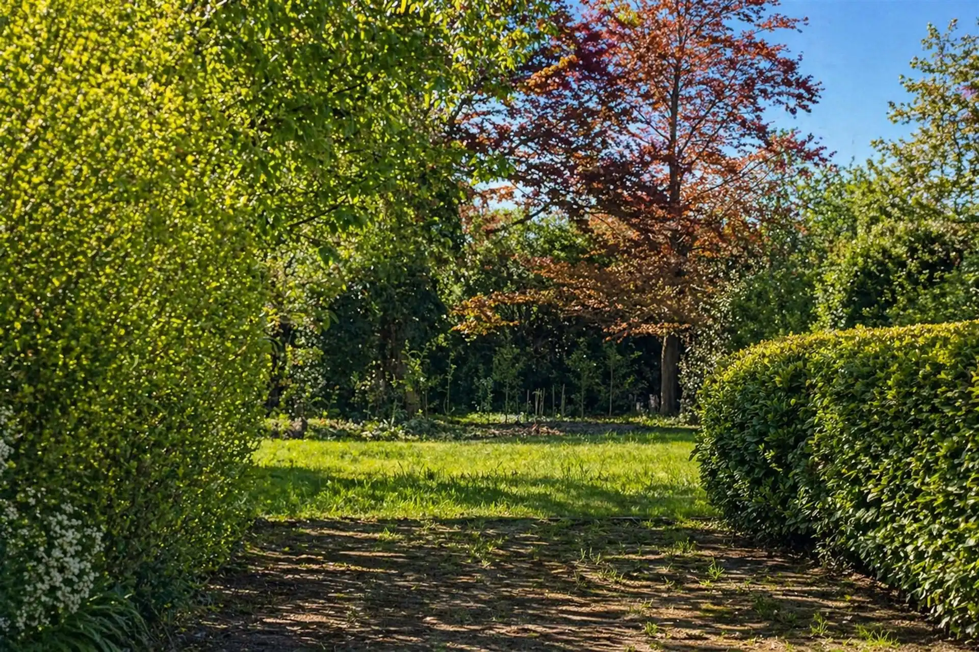 Te renoveren woning met 4 slpks en tuin. foto 3