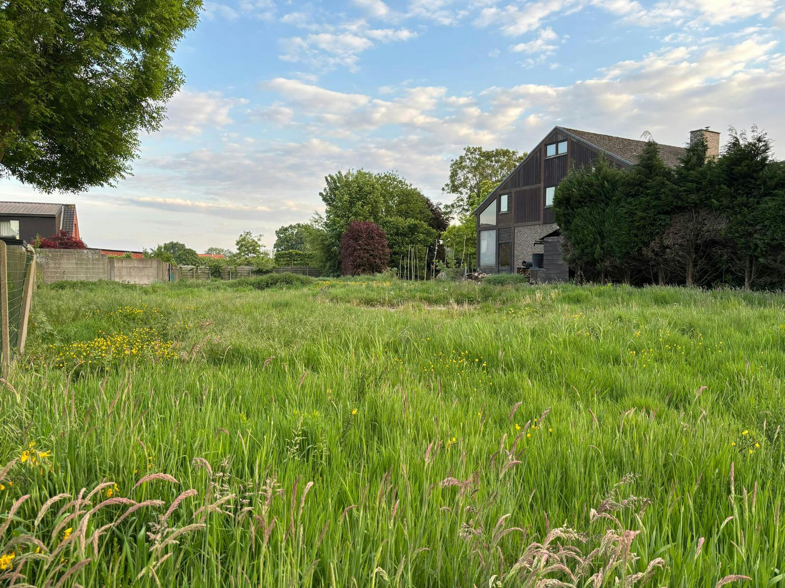Bouwgrond van ca 1.025m² te koop in Ardooie foto 6