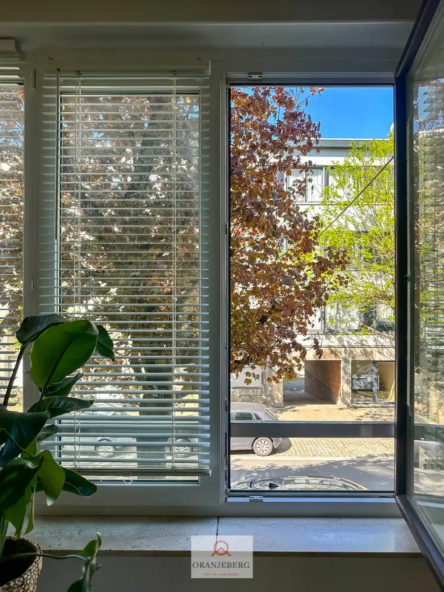 Gezellig 2 slaapkamer appartement nabij Gent-Sint-Pieters met terras en 2 kelderbergingen foto 11