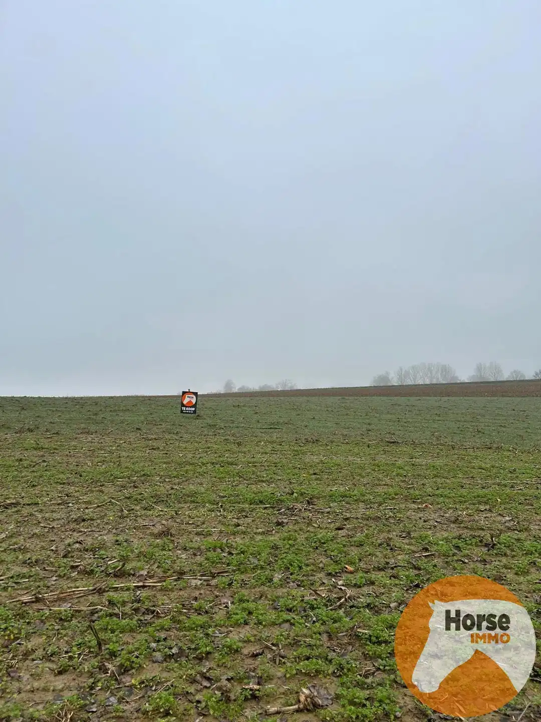 HERZELE - Landbouwgrond van 46are foto 3