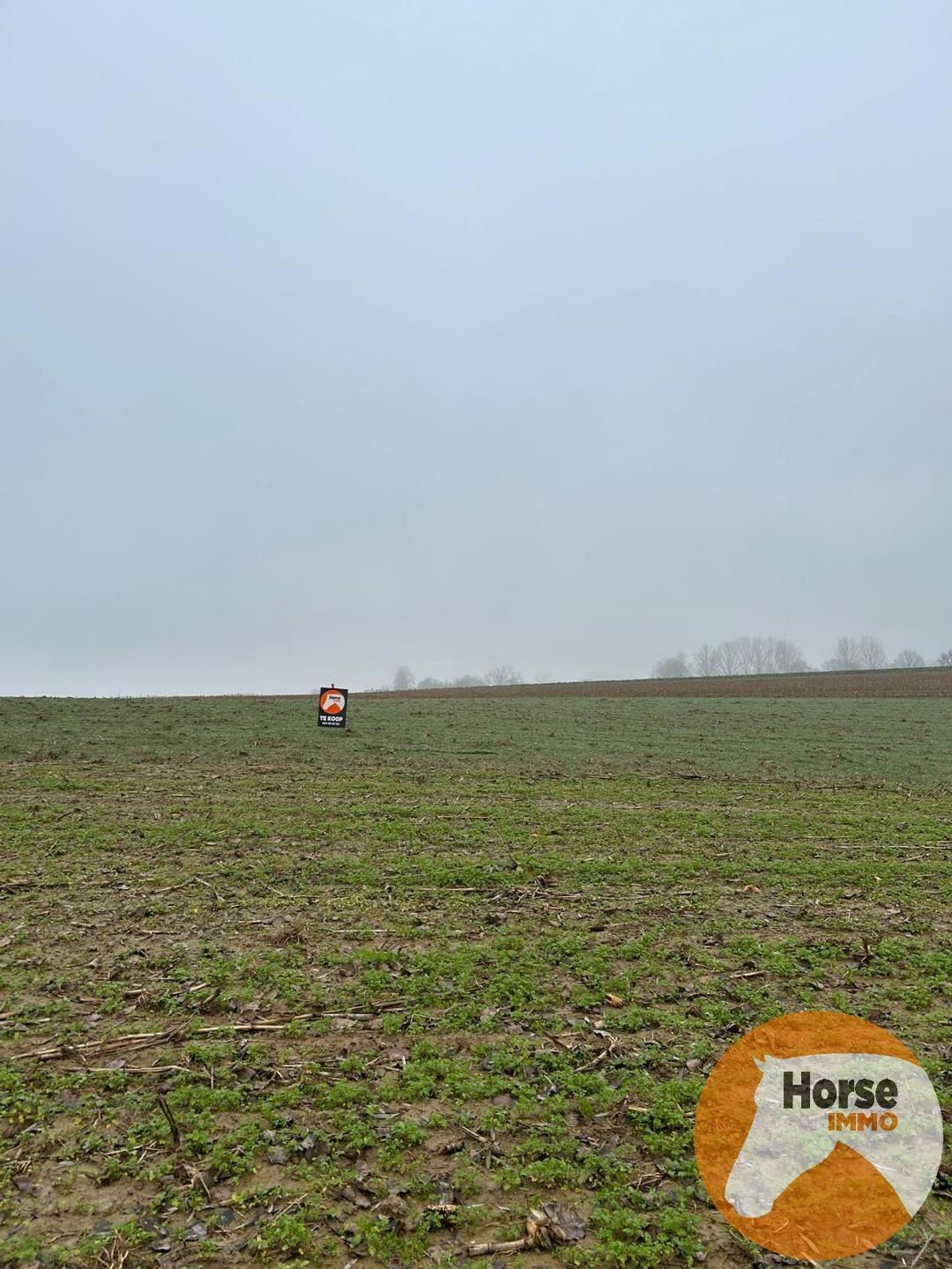 HERZELE - Landbouwgrond van 46are foto 3