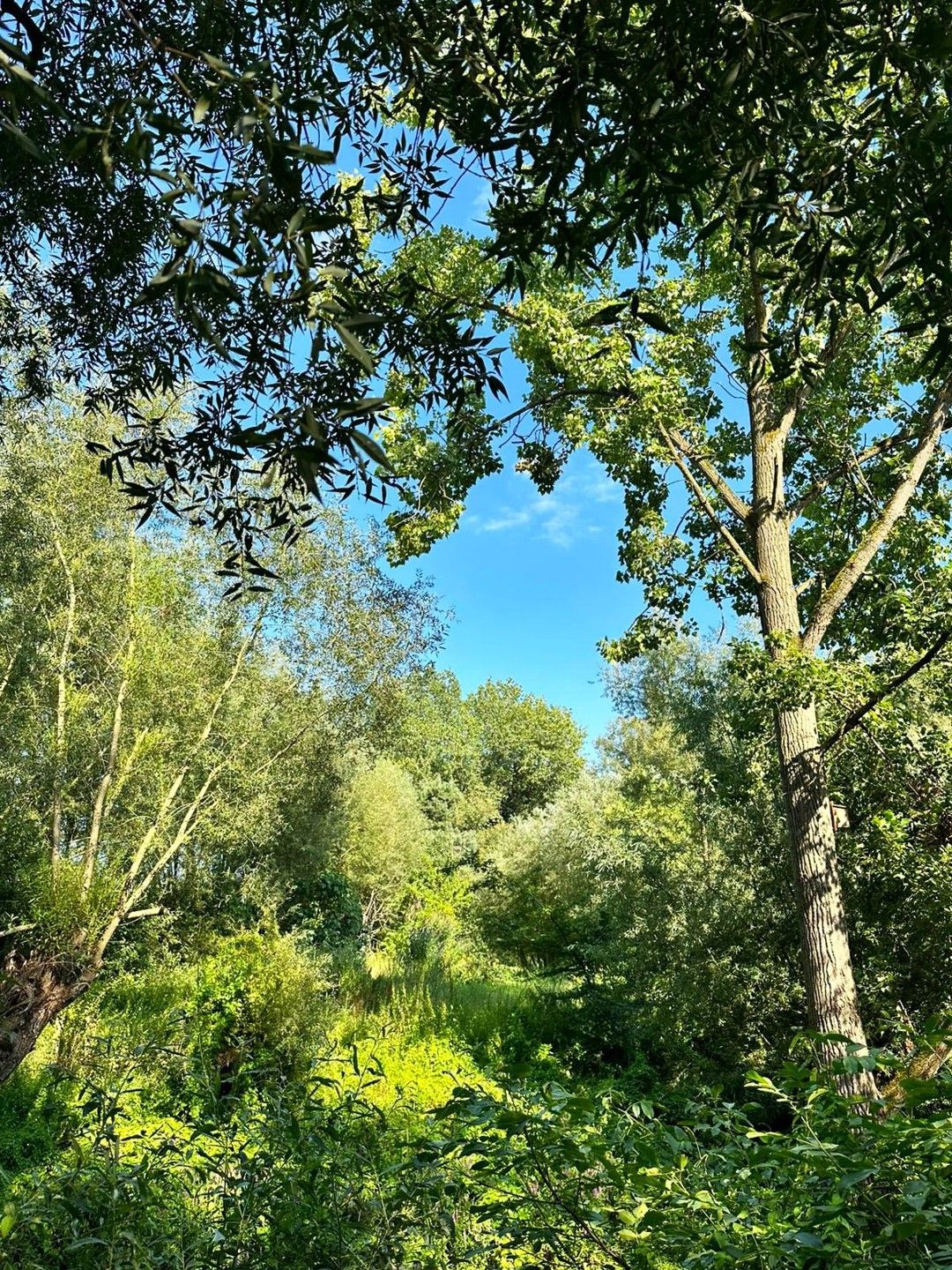 Villa te koop foto 12