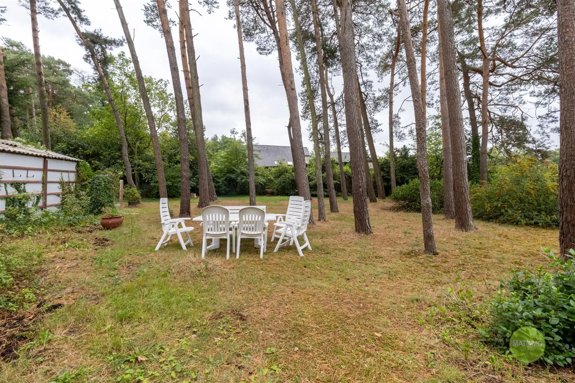 Vrijstaande woning op royaal perceel met bos in Mol-Sluis foto 3