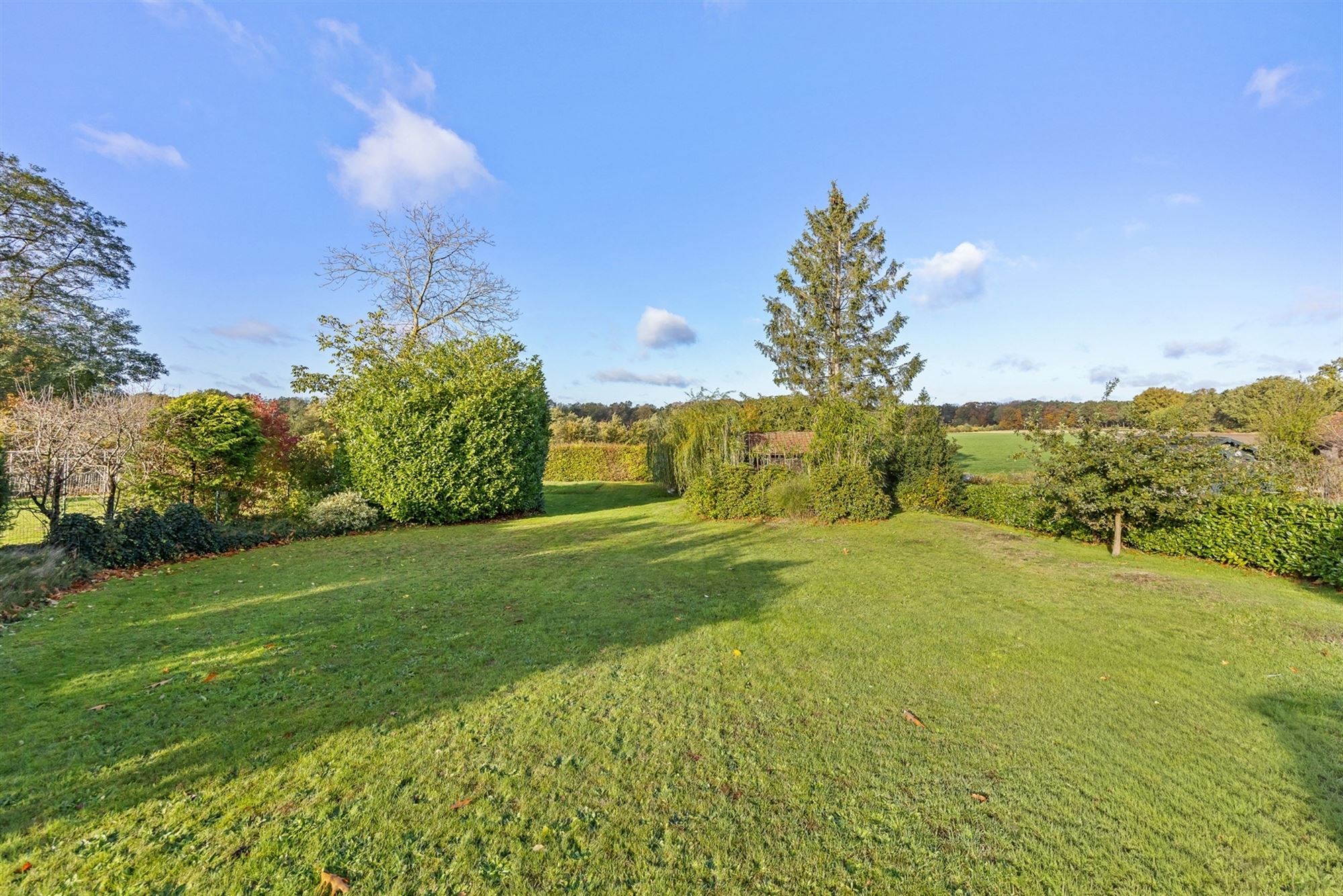 HEEL GOED ONDERHOUDEN WONING MET 3 SLAAPKAMERS UITERST RUSTIG GELEGEN OP EEN PERCEEL VAN 14A TE HEPPEN foto 2