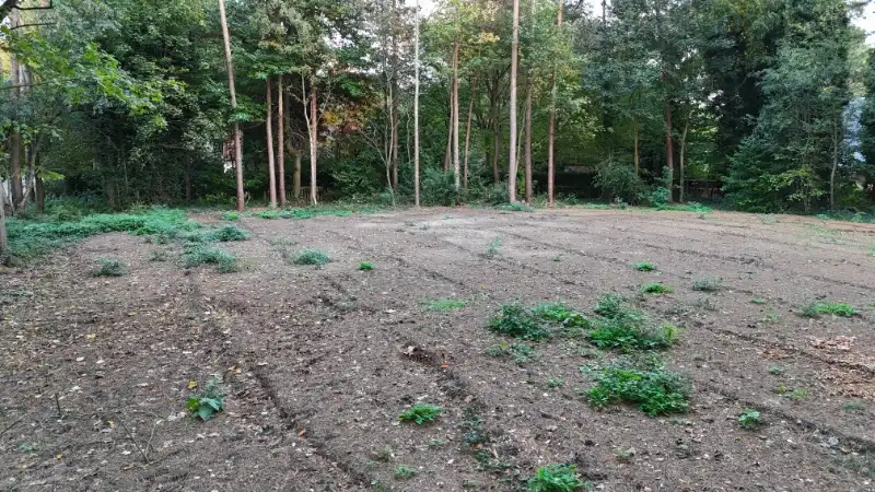 Exclusieve Bouwgrond Waasmunster foto 4