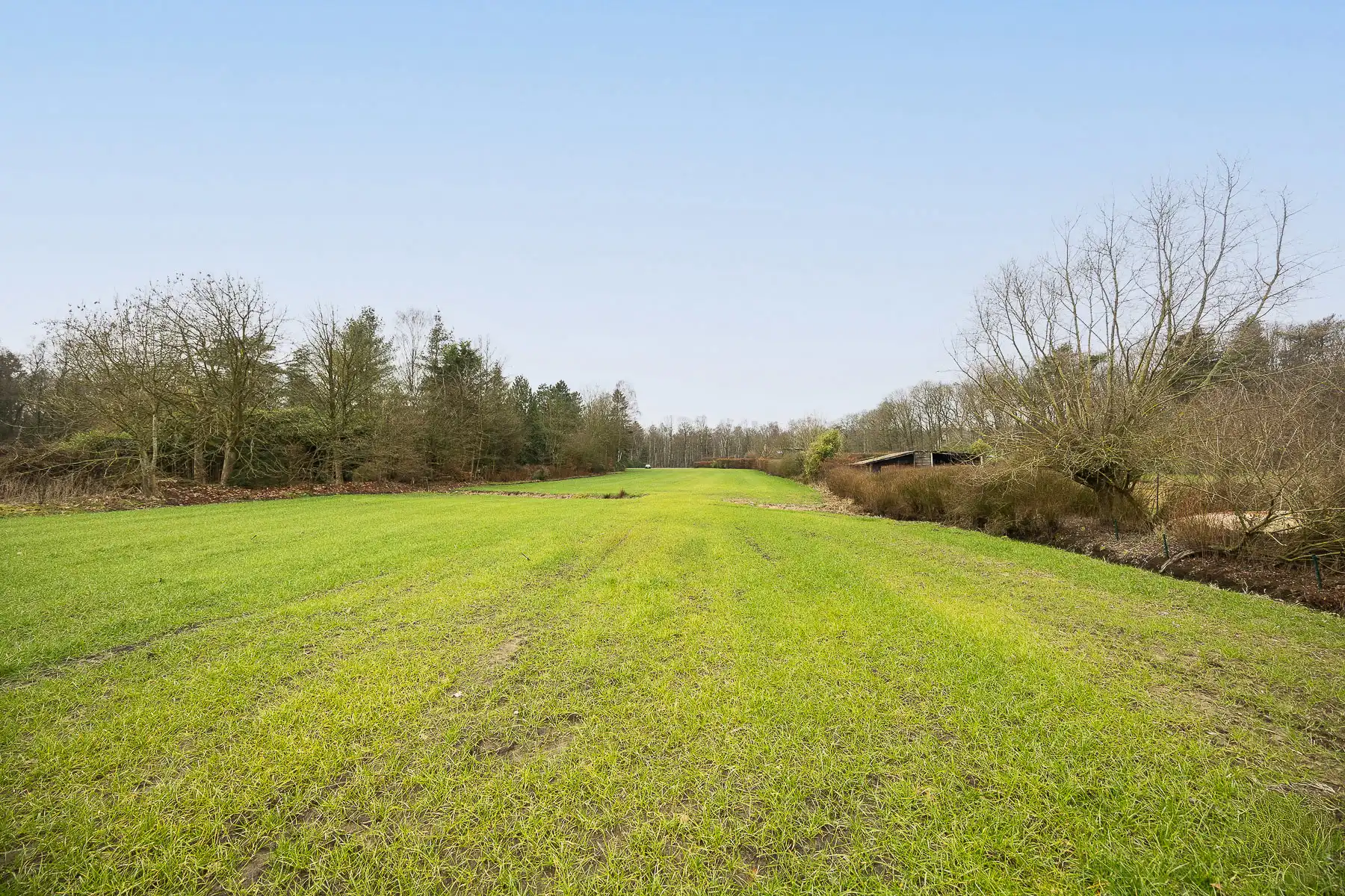 Unieke bouwgrond met weiland in Brasschaat foto 9
