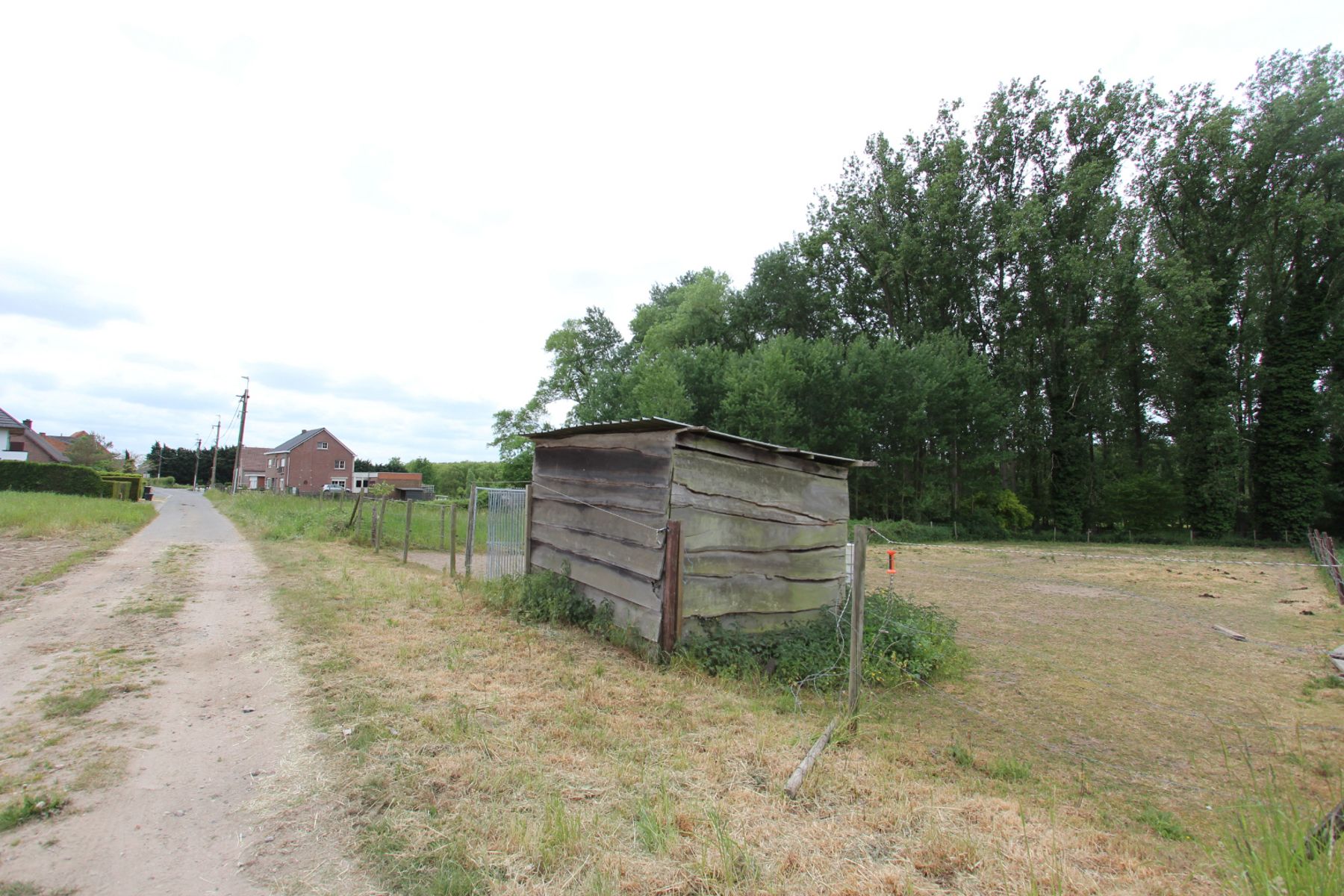 Perceel weide gelegen in woonuitbreidingsgebied te Wanzele foto 4