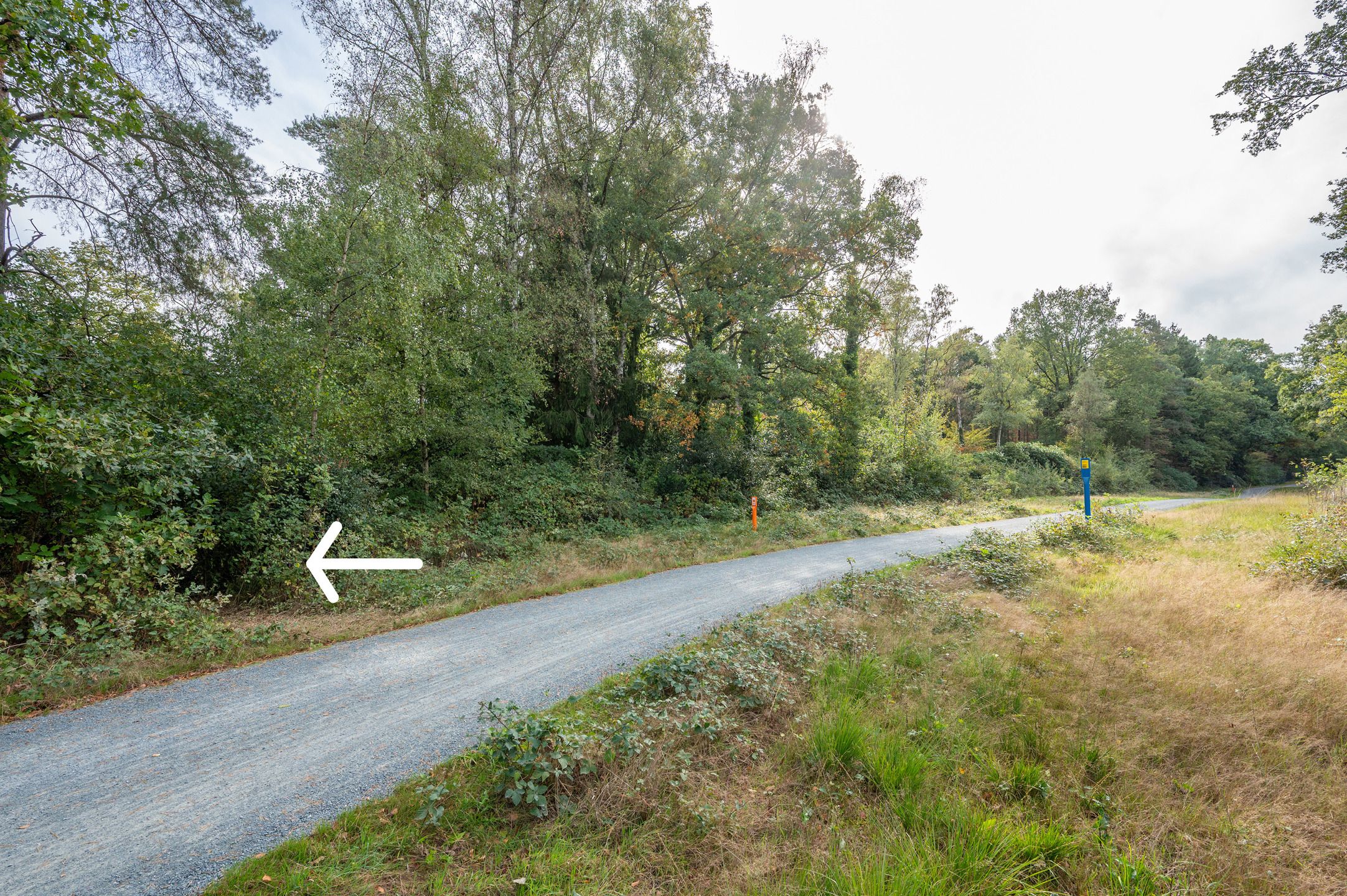 Charmante woning met toegang tot de Heide foto 7