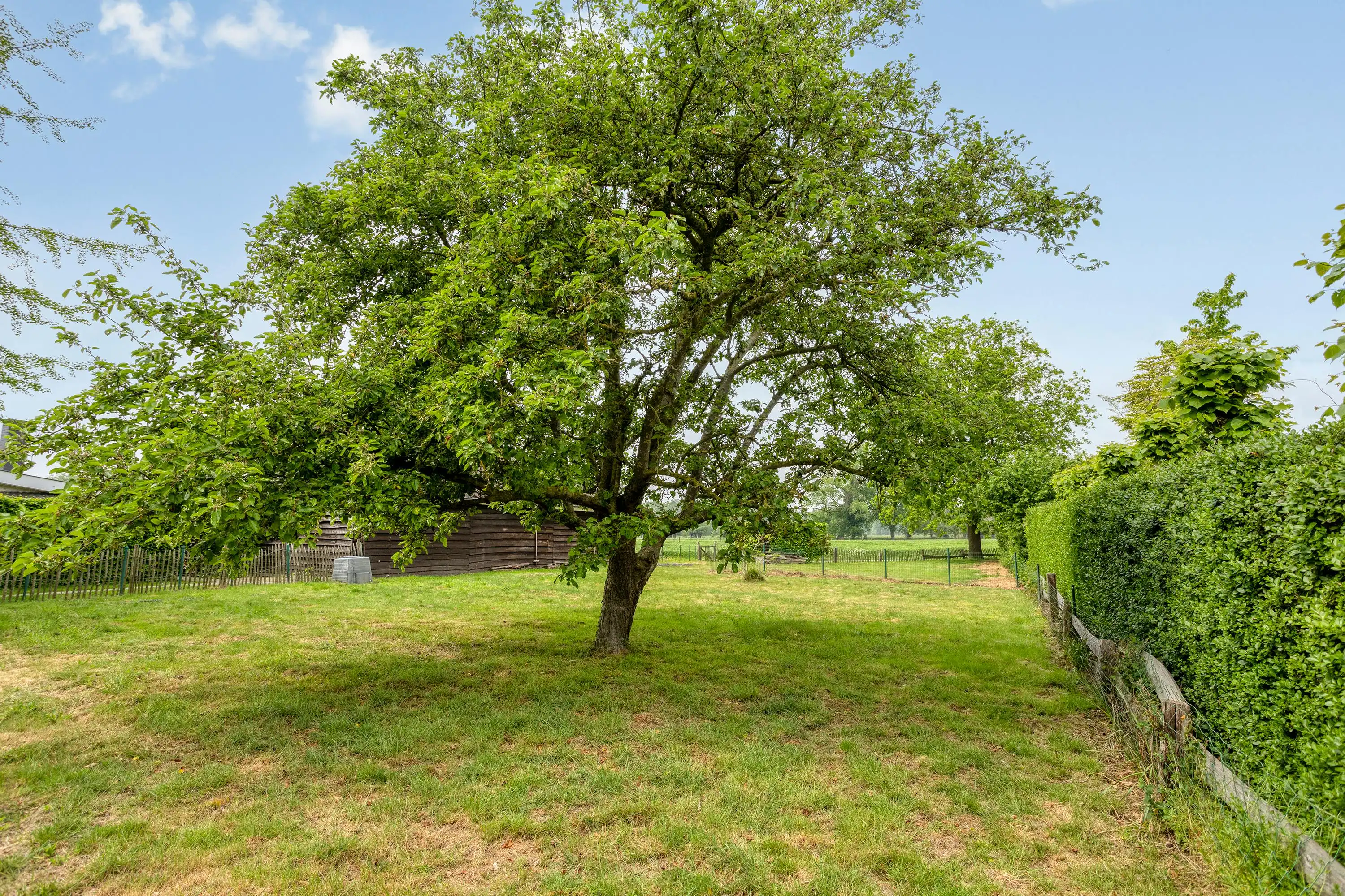 Huis met 3 slaapkamers op 2.287 m² grond te koop in Ursel!  foto 41