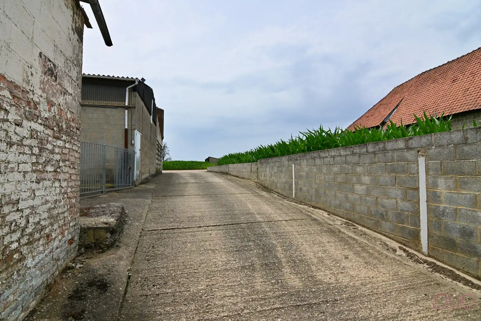 Hoevewoning op een perceel van 69a20ca met een veestal van 391m2 en een open schuur van 355m2 foto 5