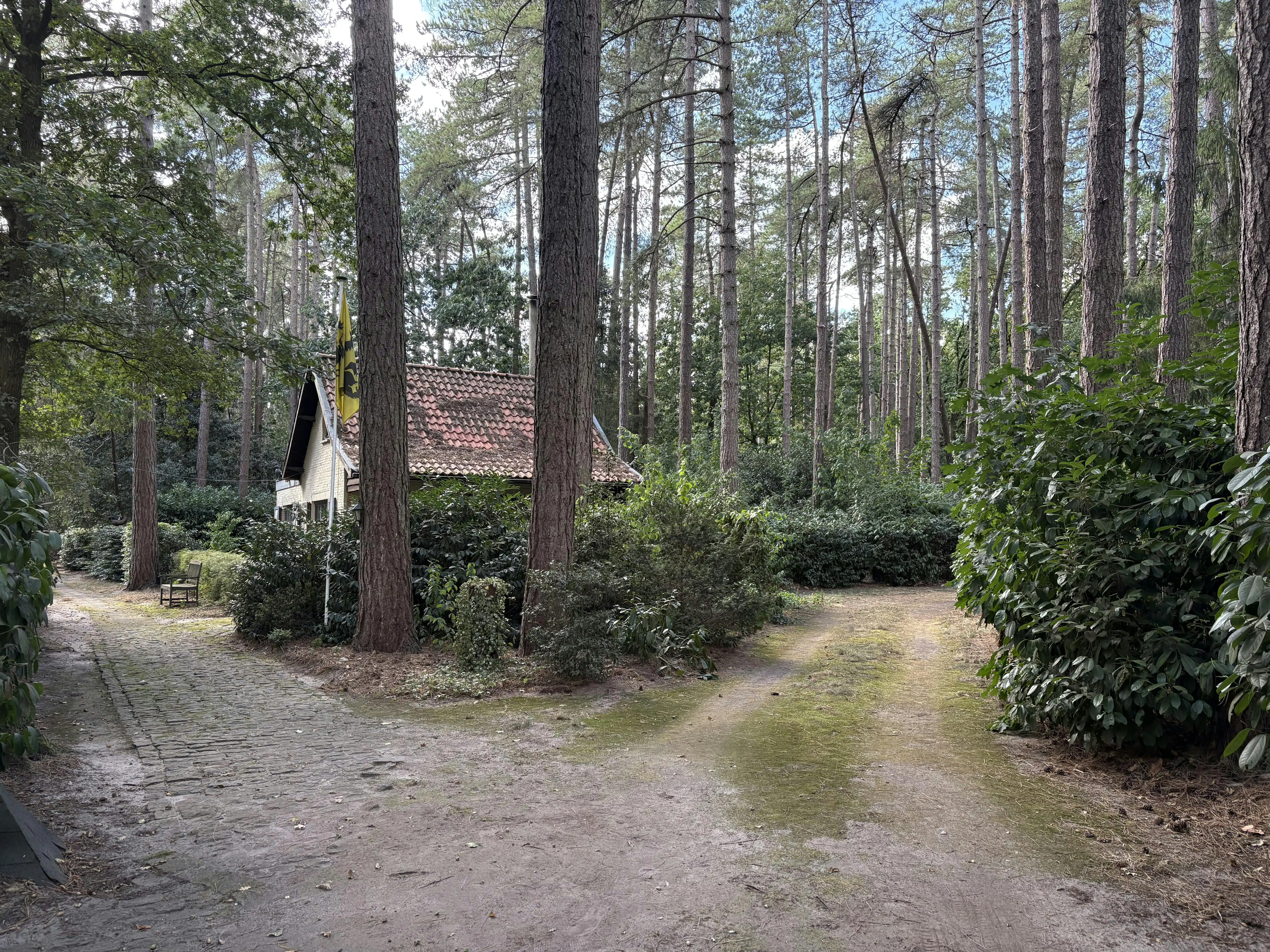 Woning met grote tuin te koop in Essen! foto 16