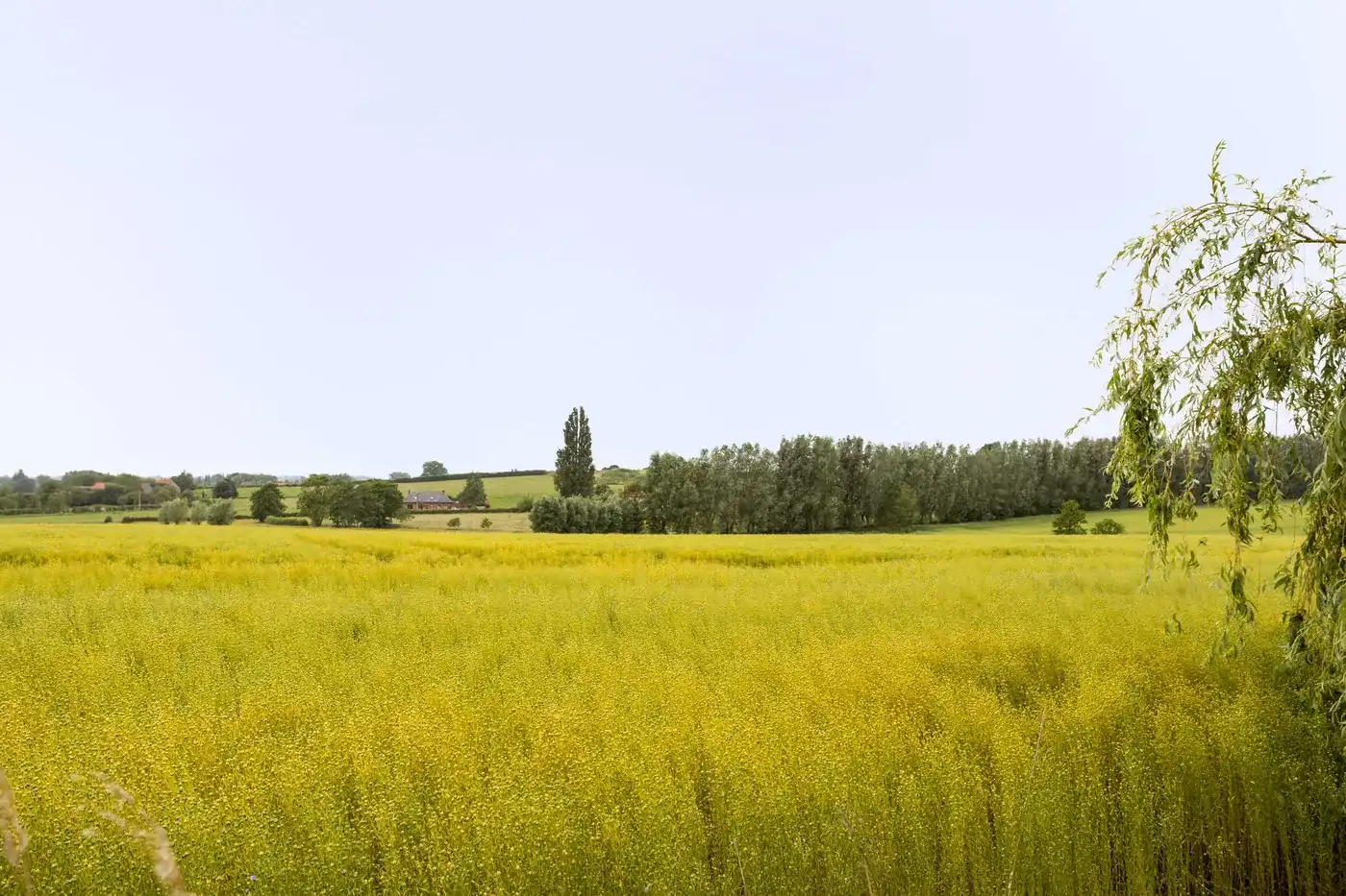 Charmante gezinswoning met landelijk uitzicht in Bellegem foto 26