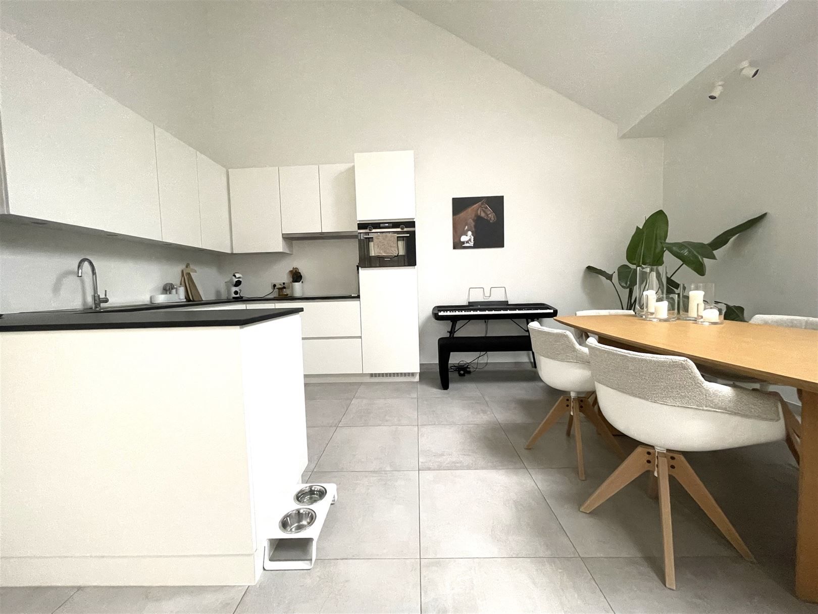 Prachtig gelijkvloers appartement met koertje en garage foto 4