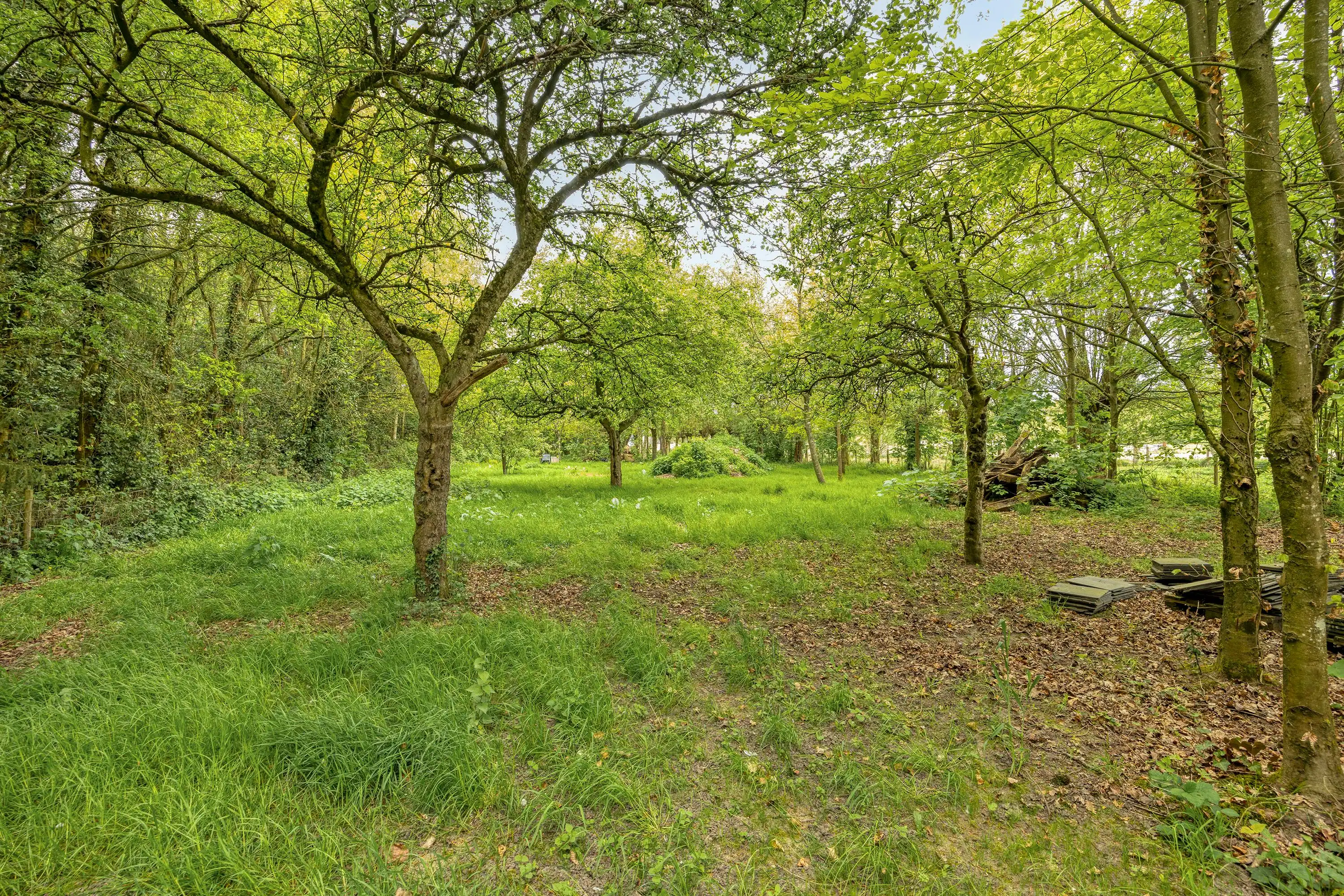 Vrijstaand huis met bijgebouw op perceel van 4012m² te Moerkerke foto 11