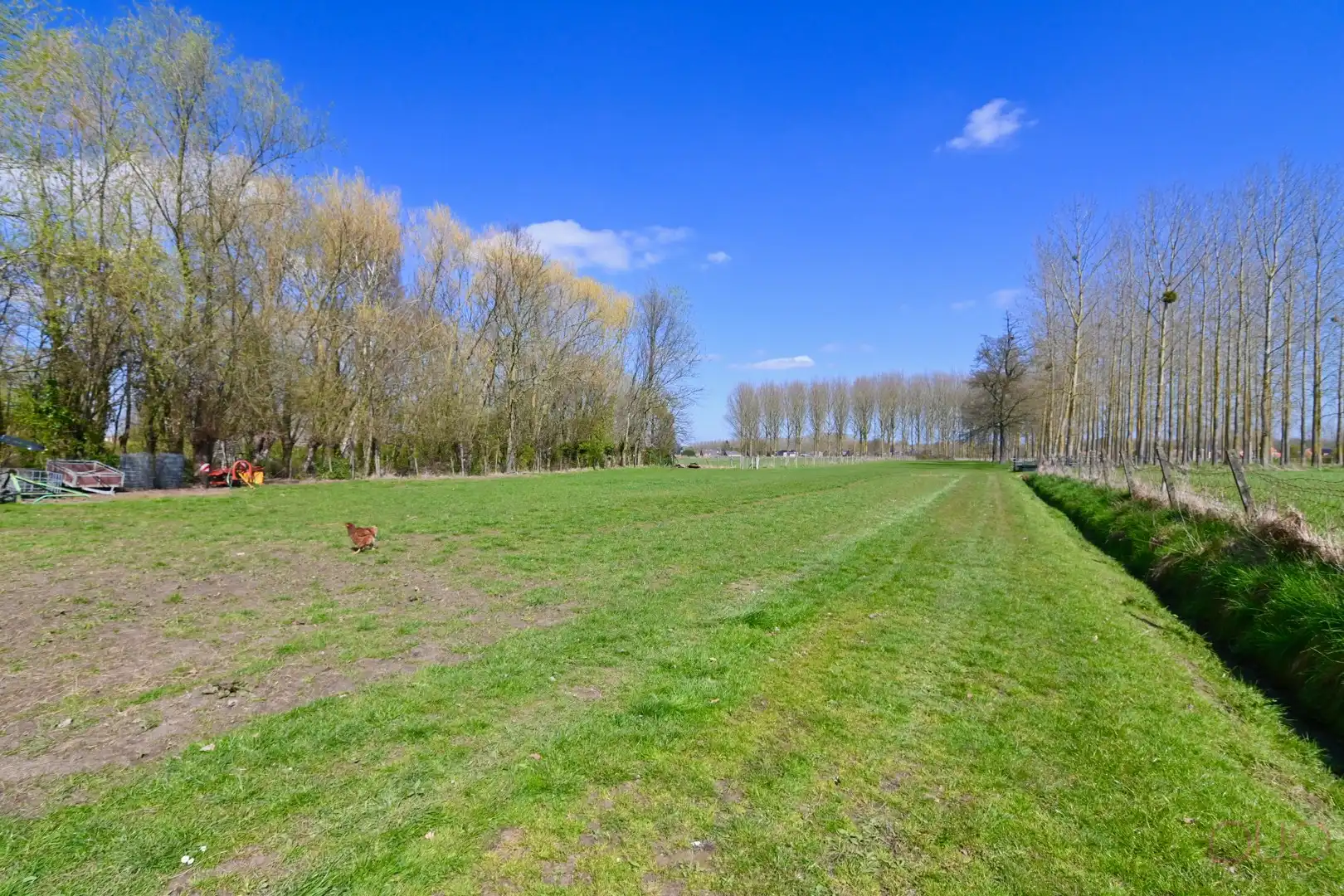 Gerenoveerd halfopen bebouwing op een prachtig perceel van 1h39a60ca inclusief weilanden foto 52