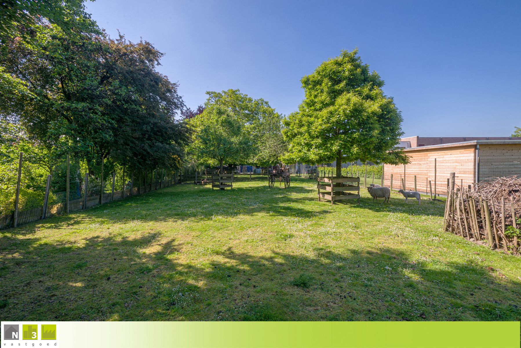 Boerderij te koop foto 6