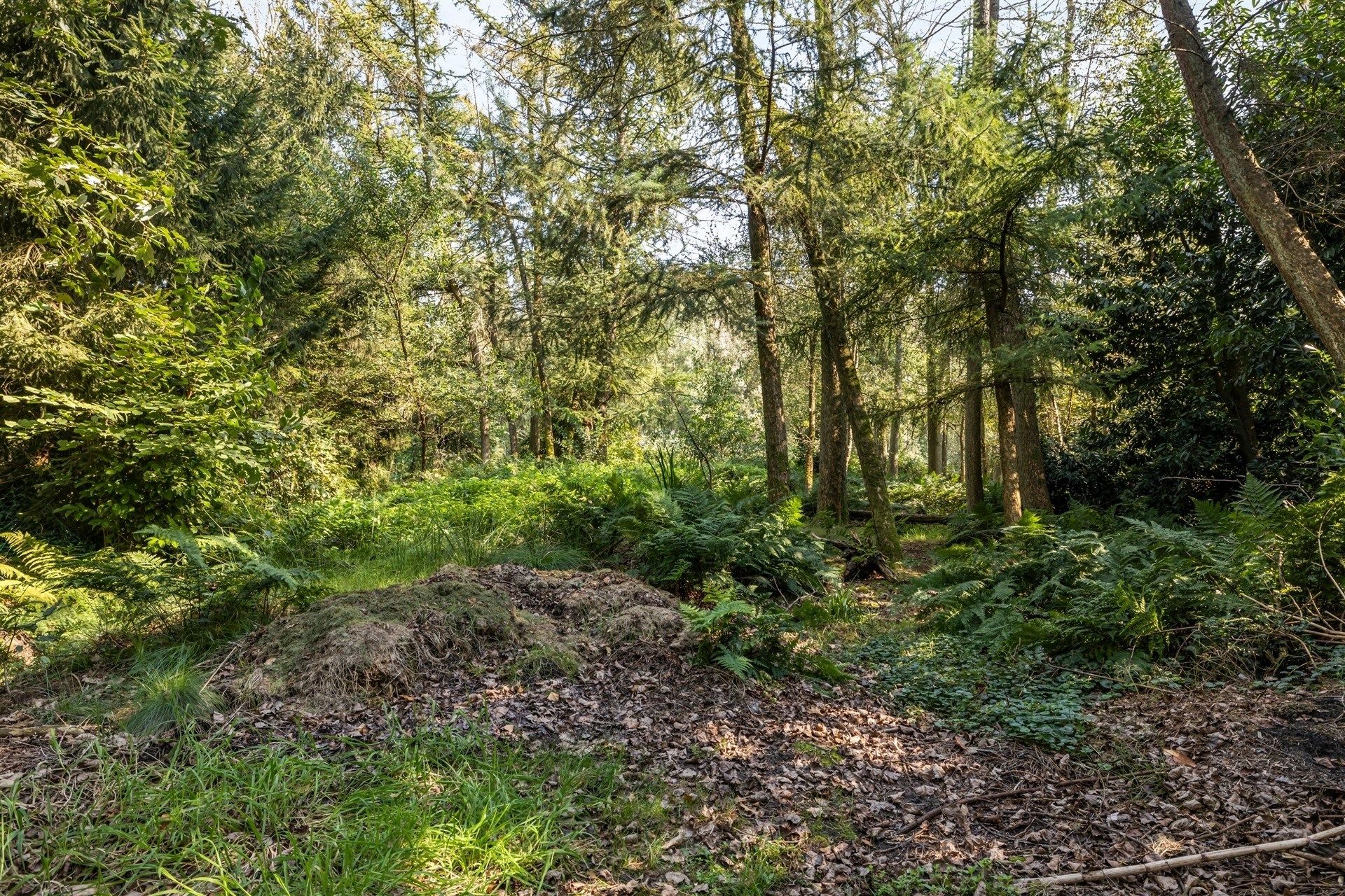 Elegante villa in een prachtige groene omgeving op 3.529m² foto 43