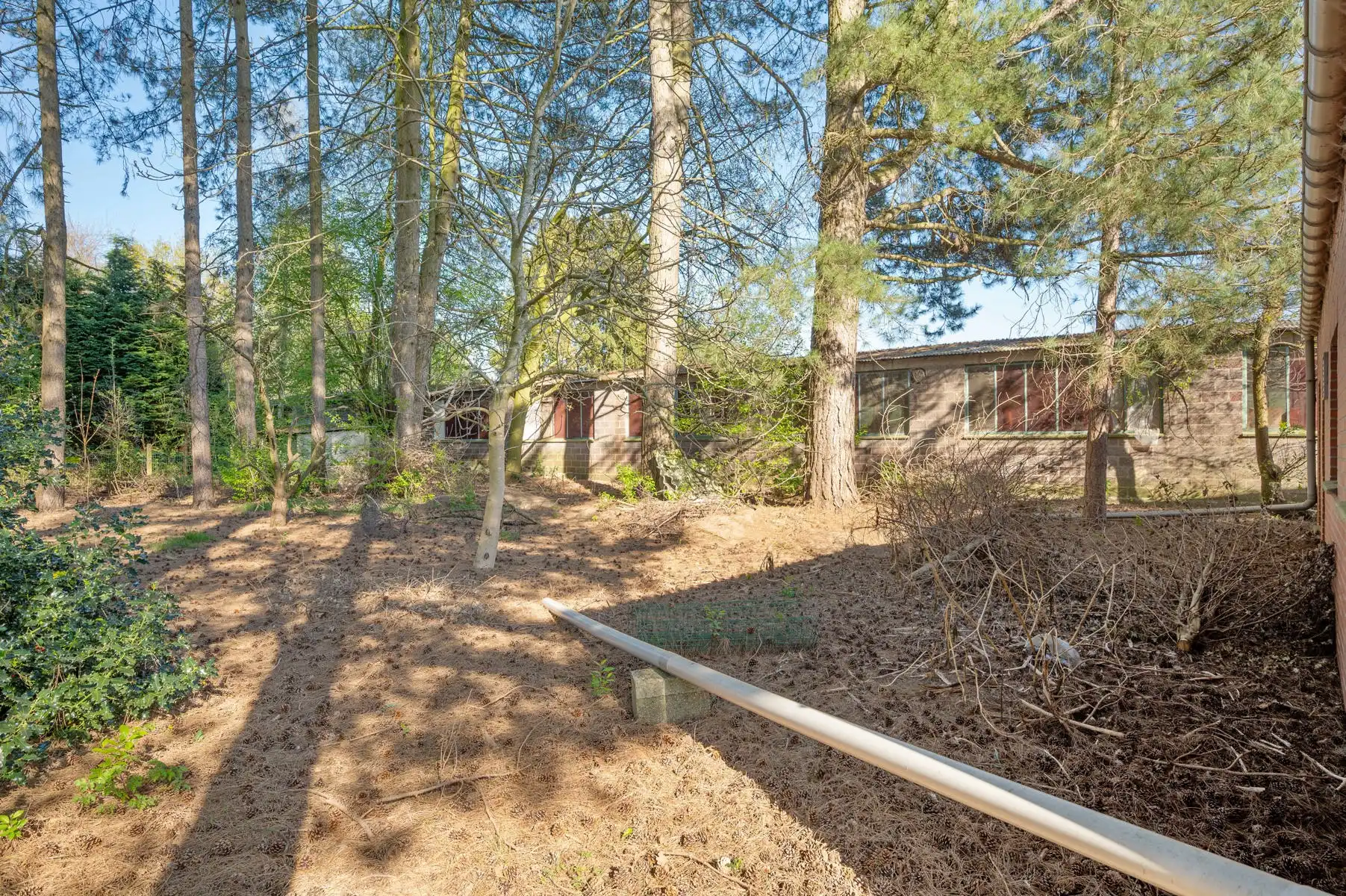 Te renoveren pand met magazijnen te BEERZEL foto 34