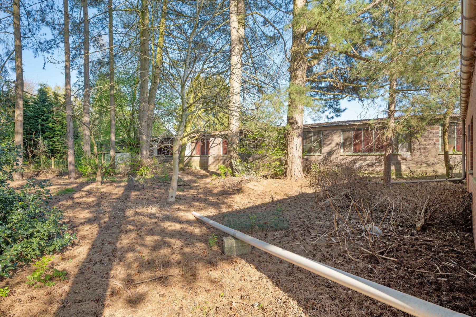 Te renoveren pand met magazijnen te BEERZEL foto 34