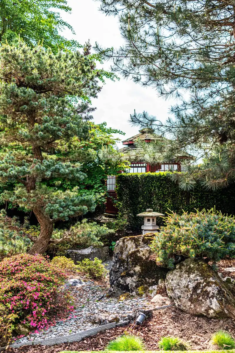 Exclusieve HOB met Japanse tuin en praktijkmogelijkheden foto 23