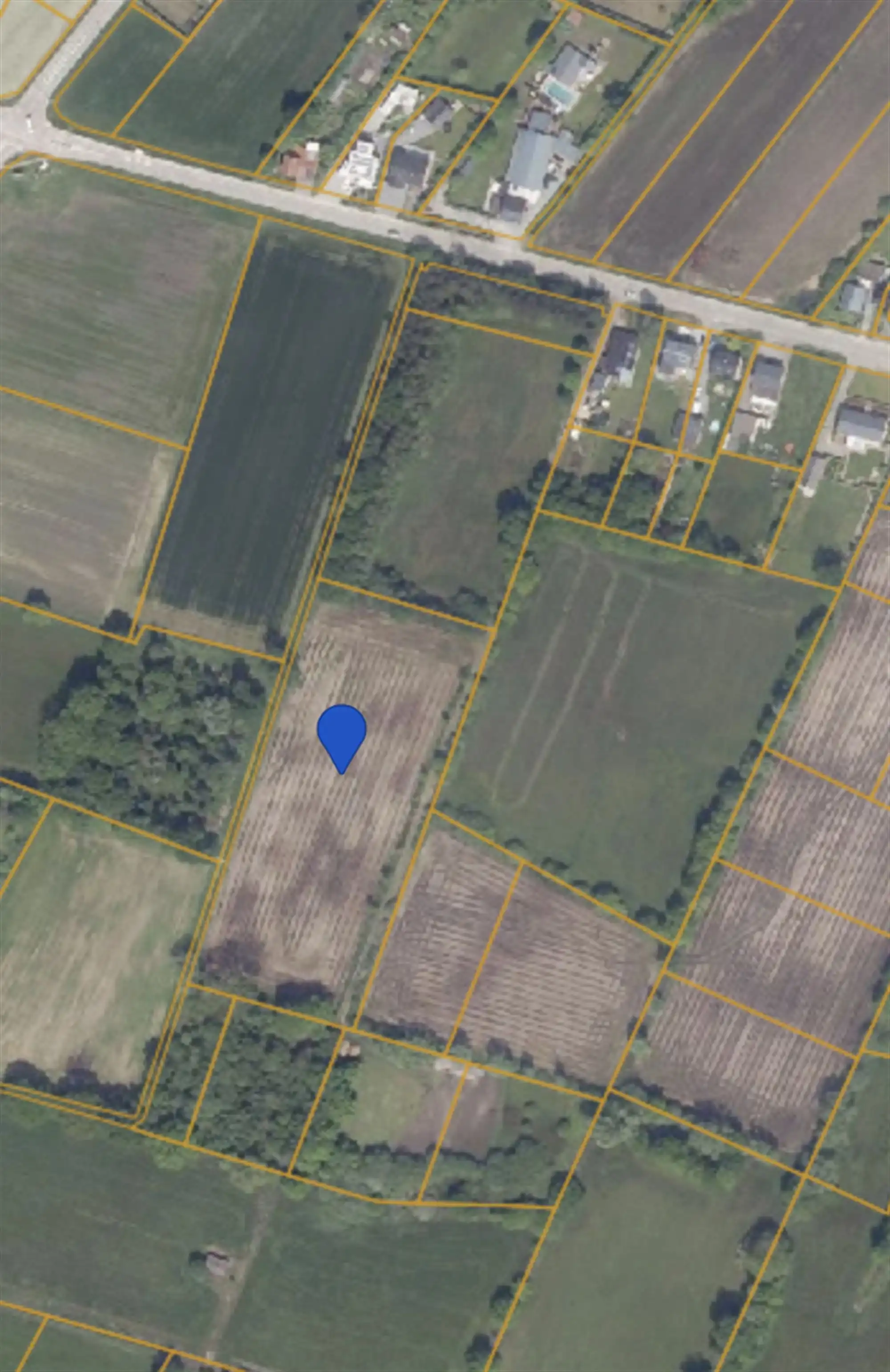 Landbouwgrond te koop in Schriek! foto 7