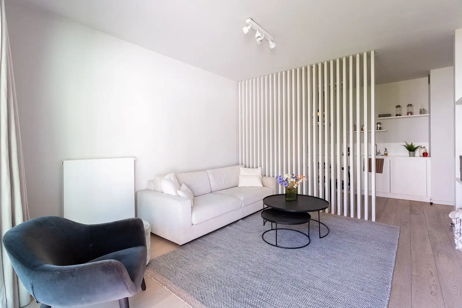 Uitzonderlijk rustig wonen in de bruisende theaterwijk foto 14