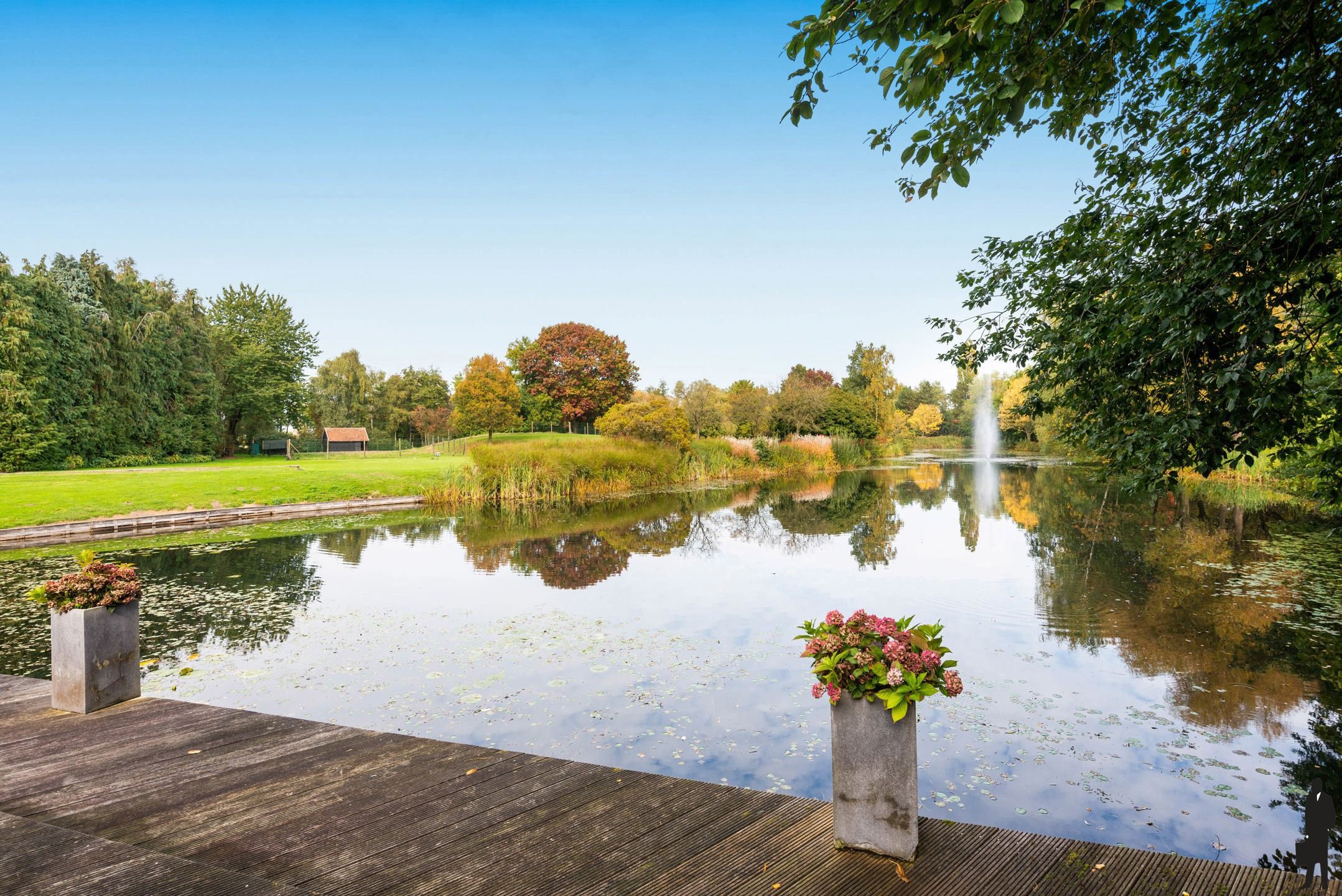 Kasteelhoeve op een landdomein van ca 6ha. foto 45