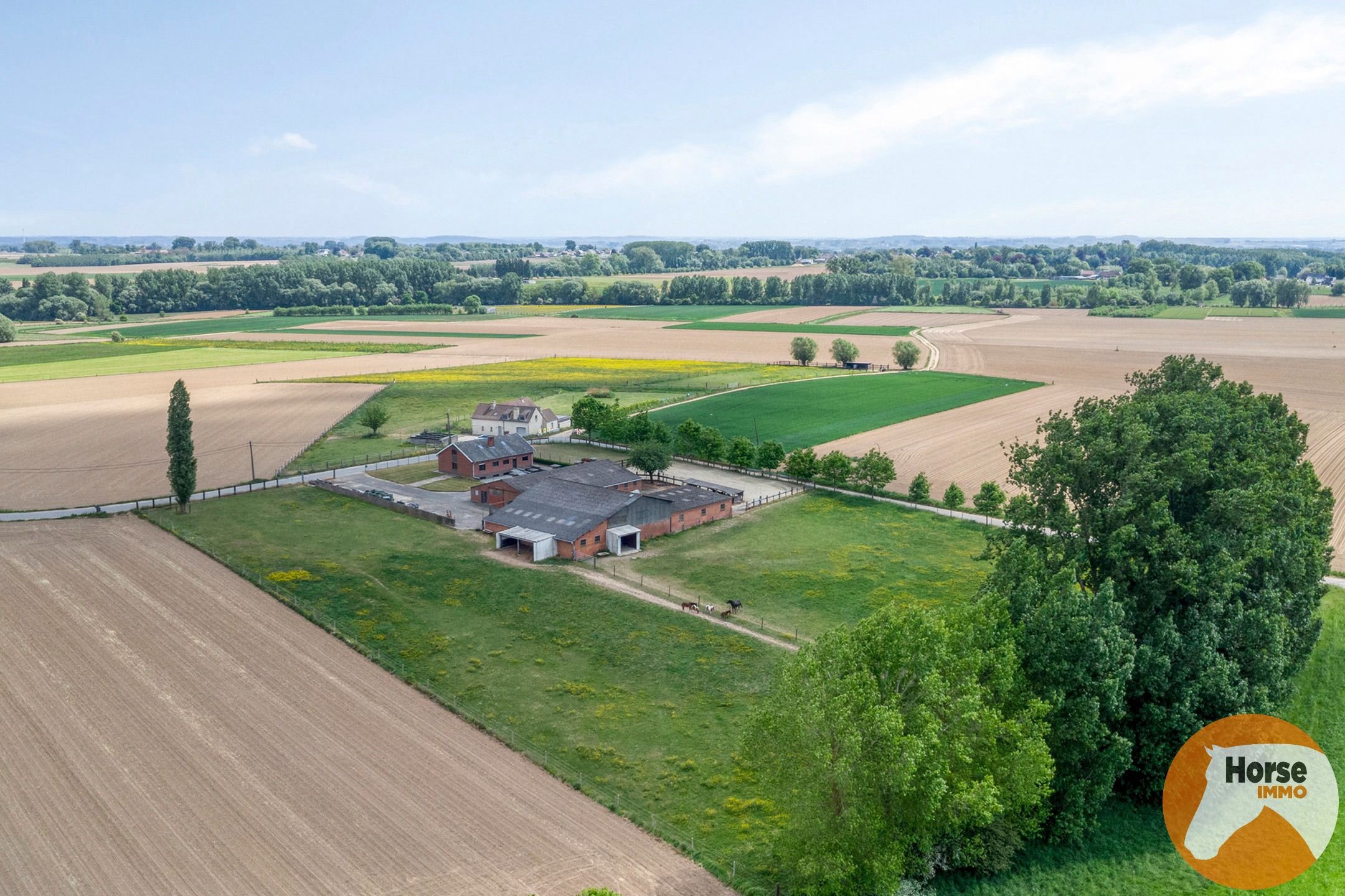 WOUBRECHTEGEM - Charmante woning met 2 loodsen op 1,61 ha  foto 41