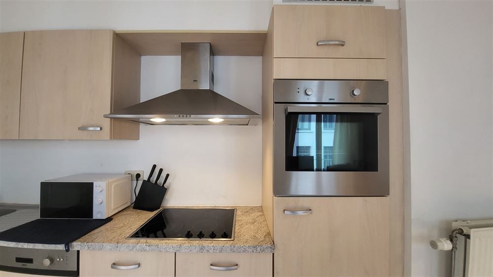 1-slpk appartement vlakbij stadspark foto 14