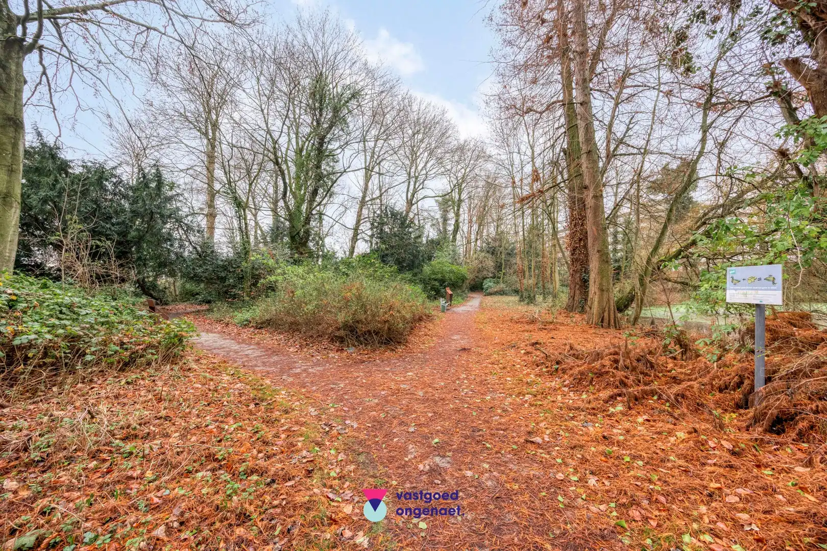 3 gevel woning Lieve Park foto 24