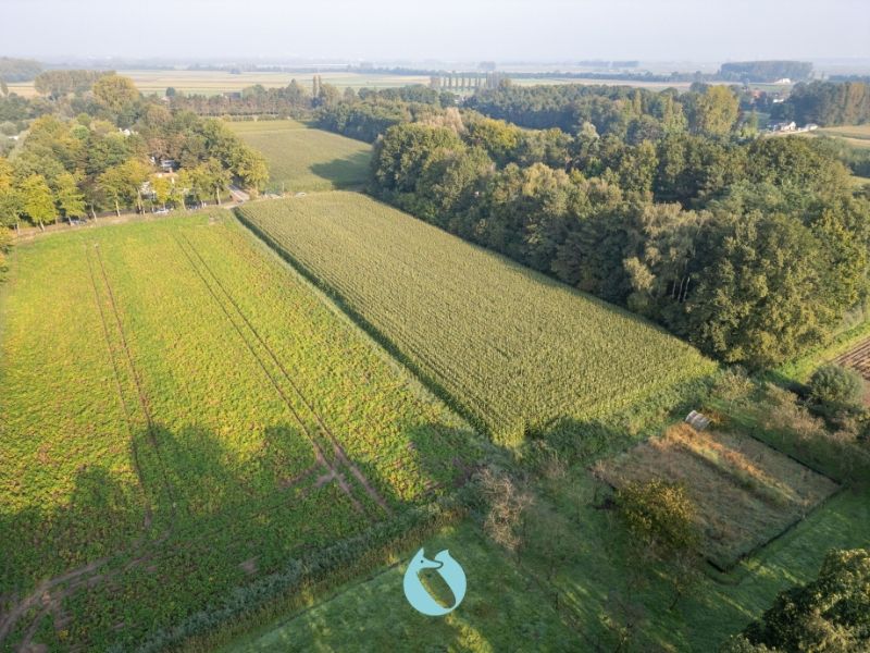 Boerderij te koop Cornilstraat 38/+ - 9185 Wachtebeke