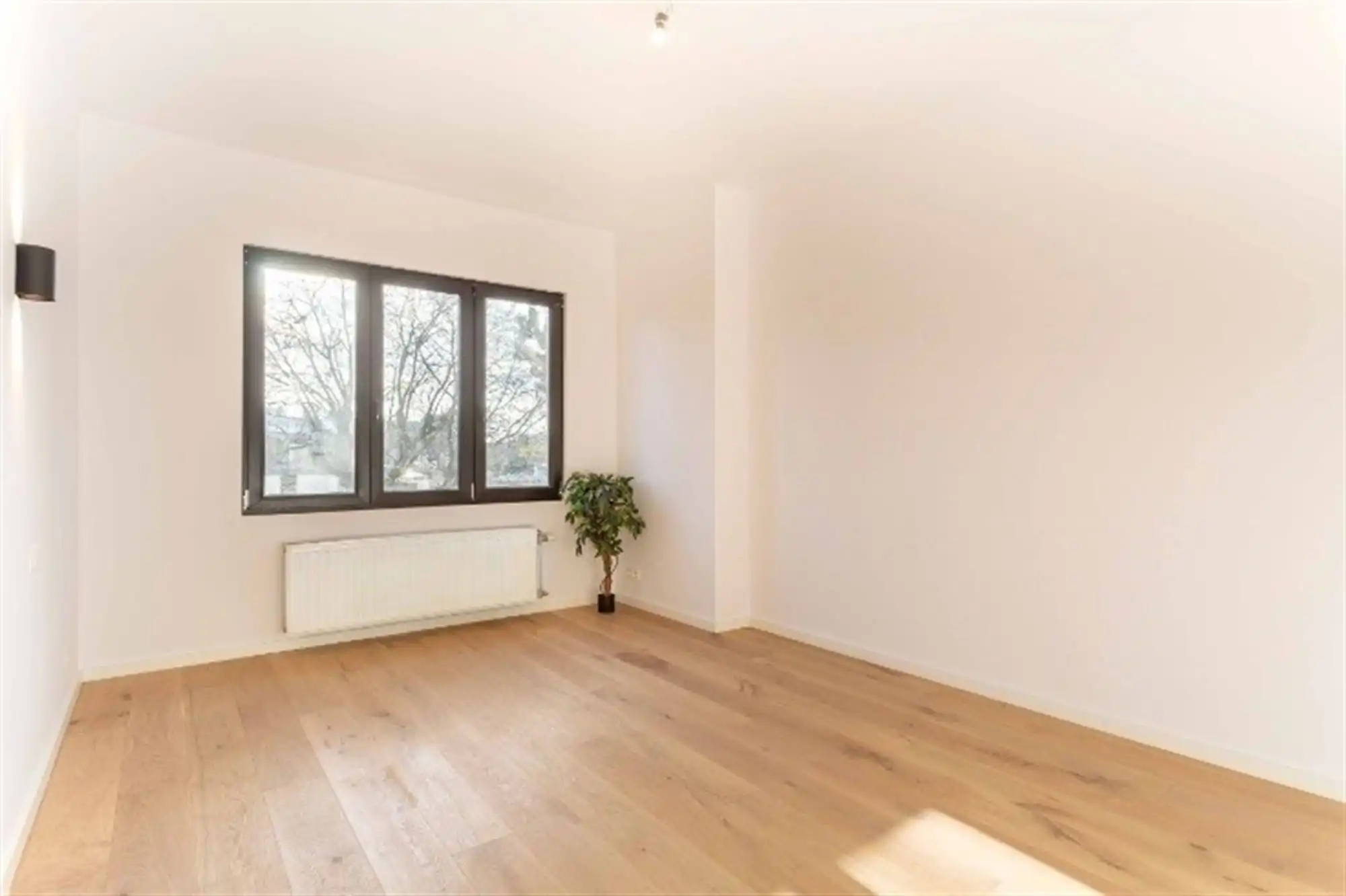 Gerenoveerd 2-slpk appartement nabij Rivierenhof foto 5