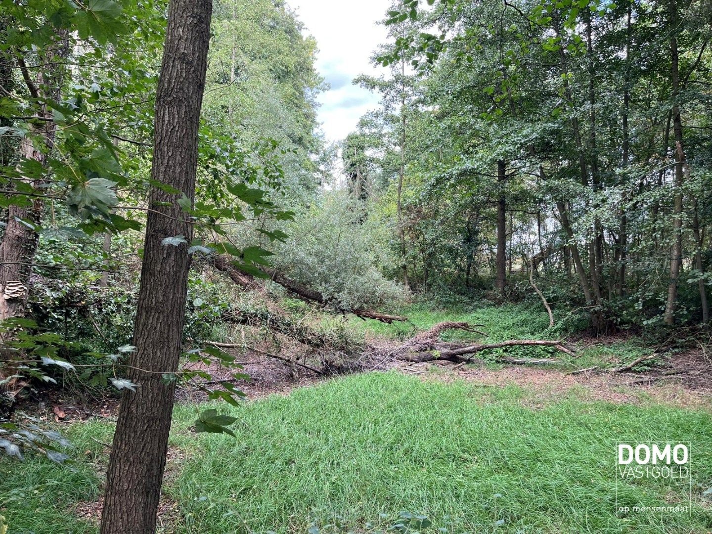 UNIEK DOMEIN MET OFF-GRID VAKANTIEWONING, SCHUUR EN 2 VIJVERS OP 1 HA 41 A foto 33