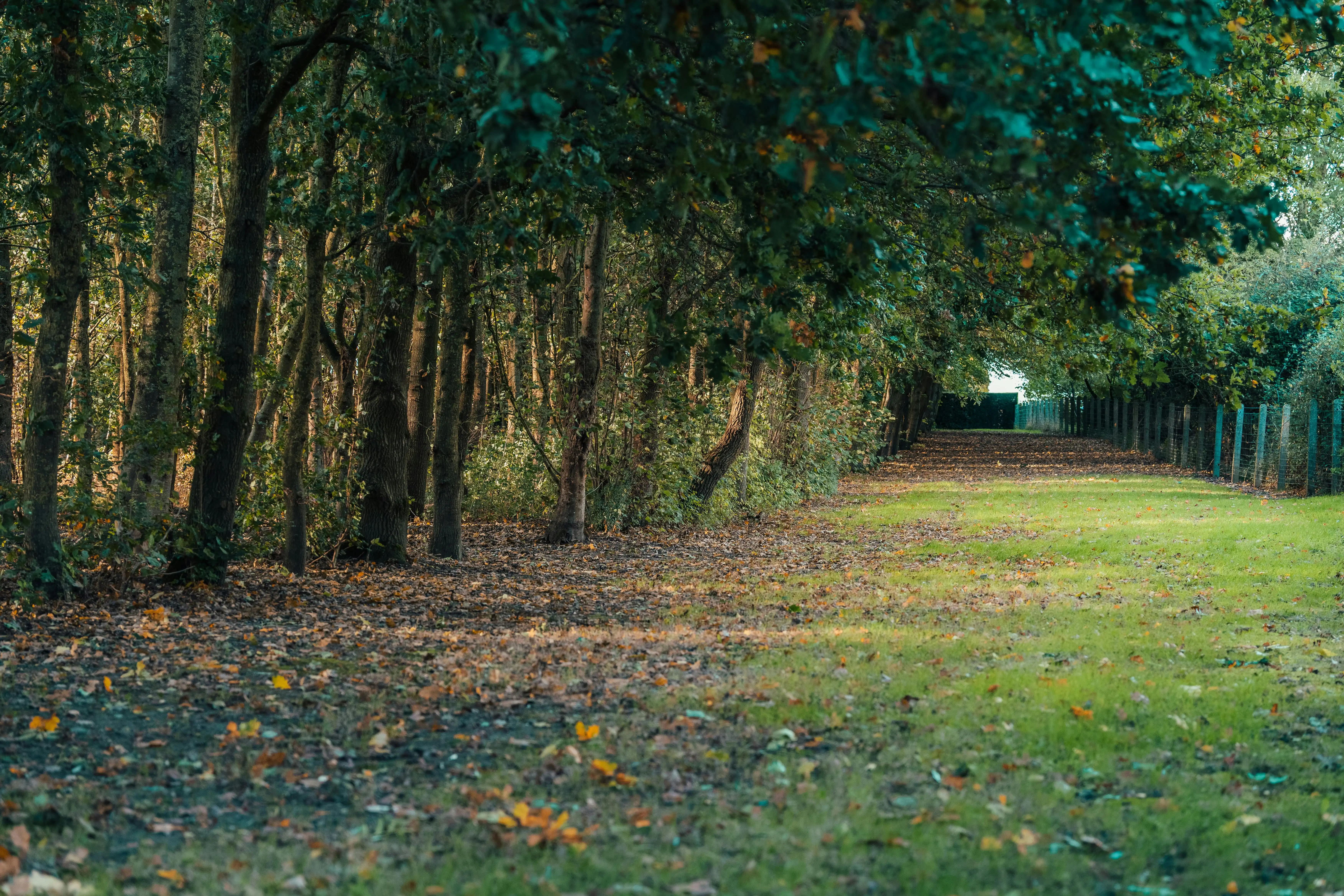 Unieke villa op 2,1 ha met 360°-uitzicht en eigen bos foto 18