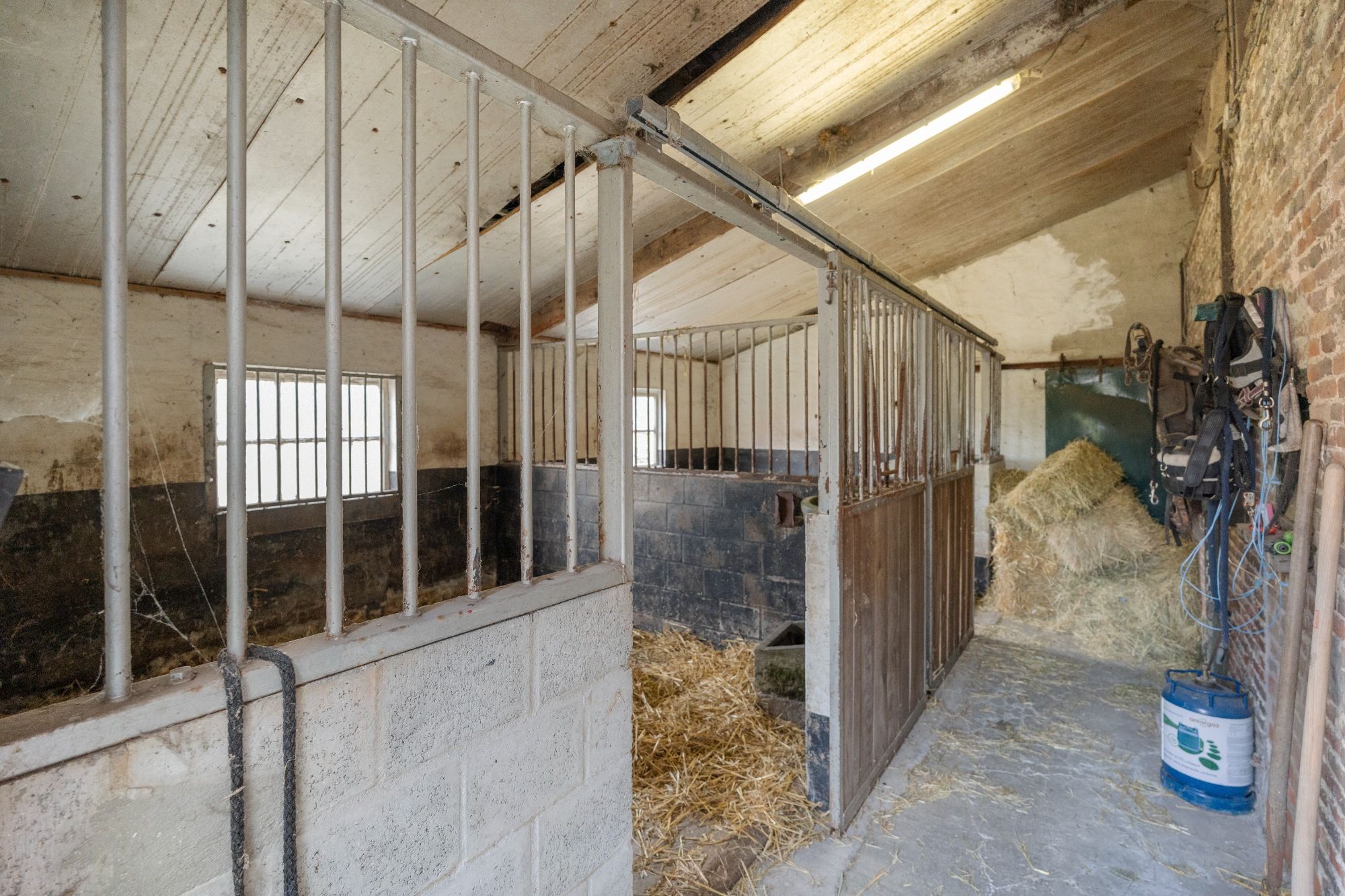 Charmante hoeve met paardenstallingen en schuur op 11.908 m² vlakbij het Drongengoed foto 30