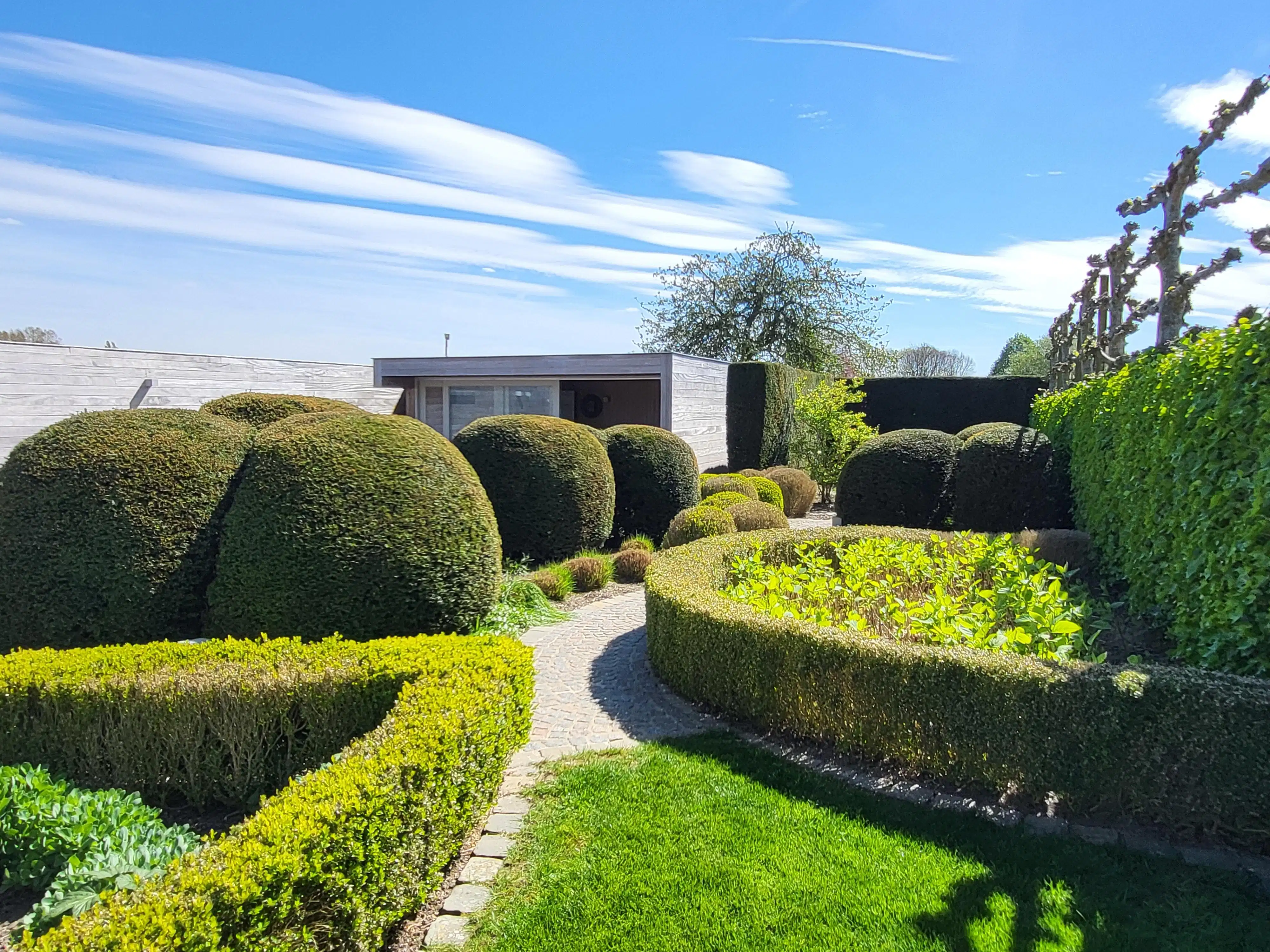 Deze ruime en uitstekend onderhouden villa-bungalow op een perceel van 1.264 m² combineert comfort, functionaliteit en een aangename woonbeleving met een zuidgericht terras en een prachtig aangelegde tuin met zwembad en badhuis.  foto 4