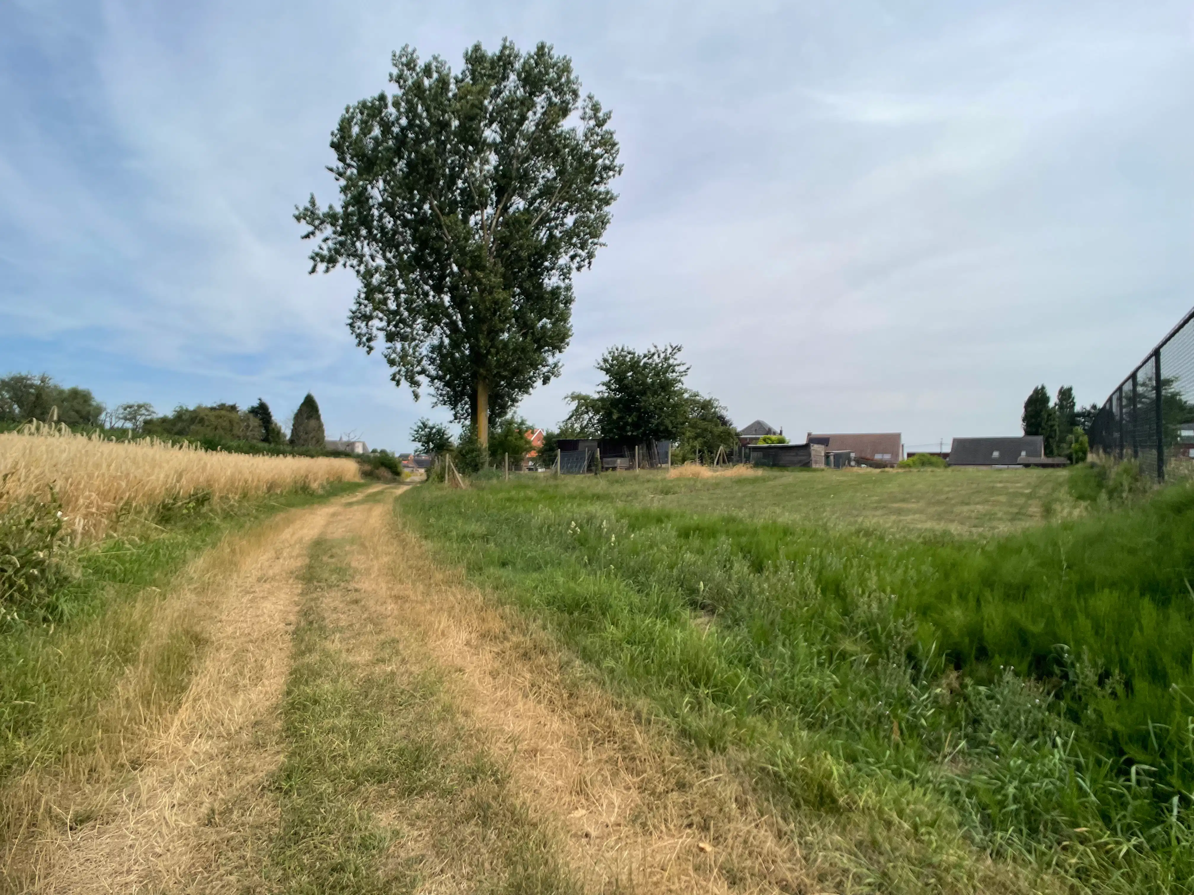 Charmante villa met uitzonderlijke tuin op een perceel van 22a 93ca foto 33