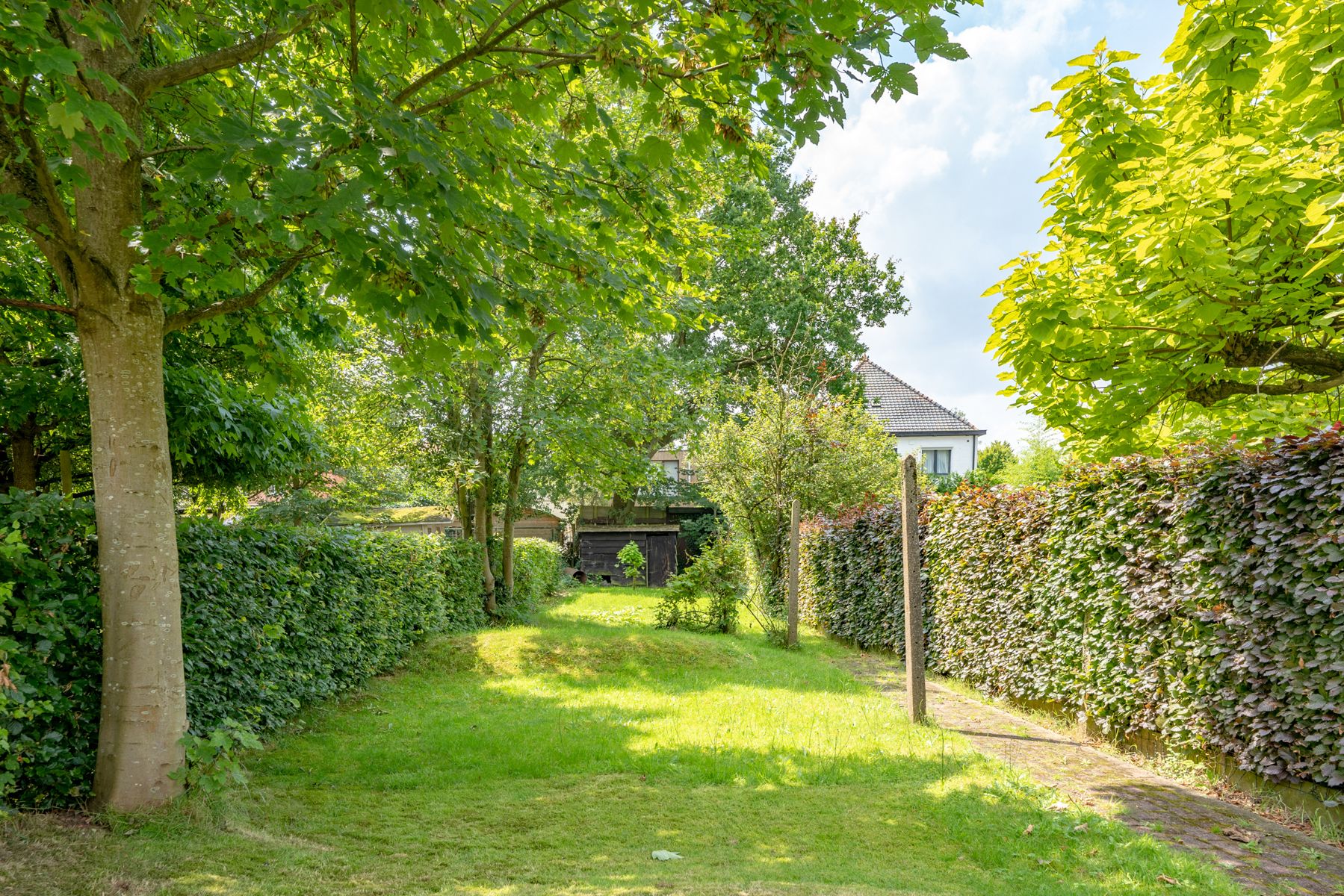 Goed gelegen te renoveren woning met 3 slaapkamers en ruime tuin! foto 10