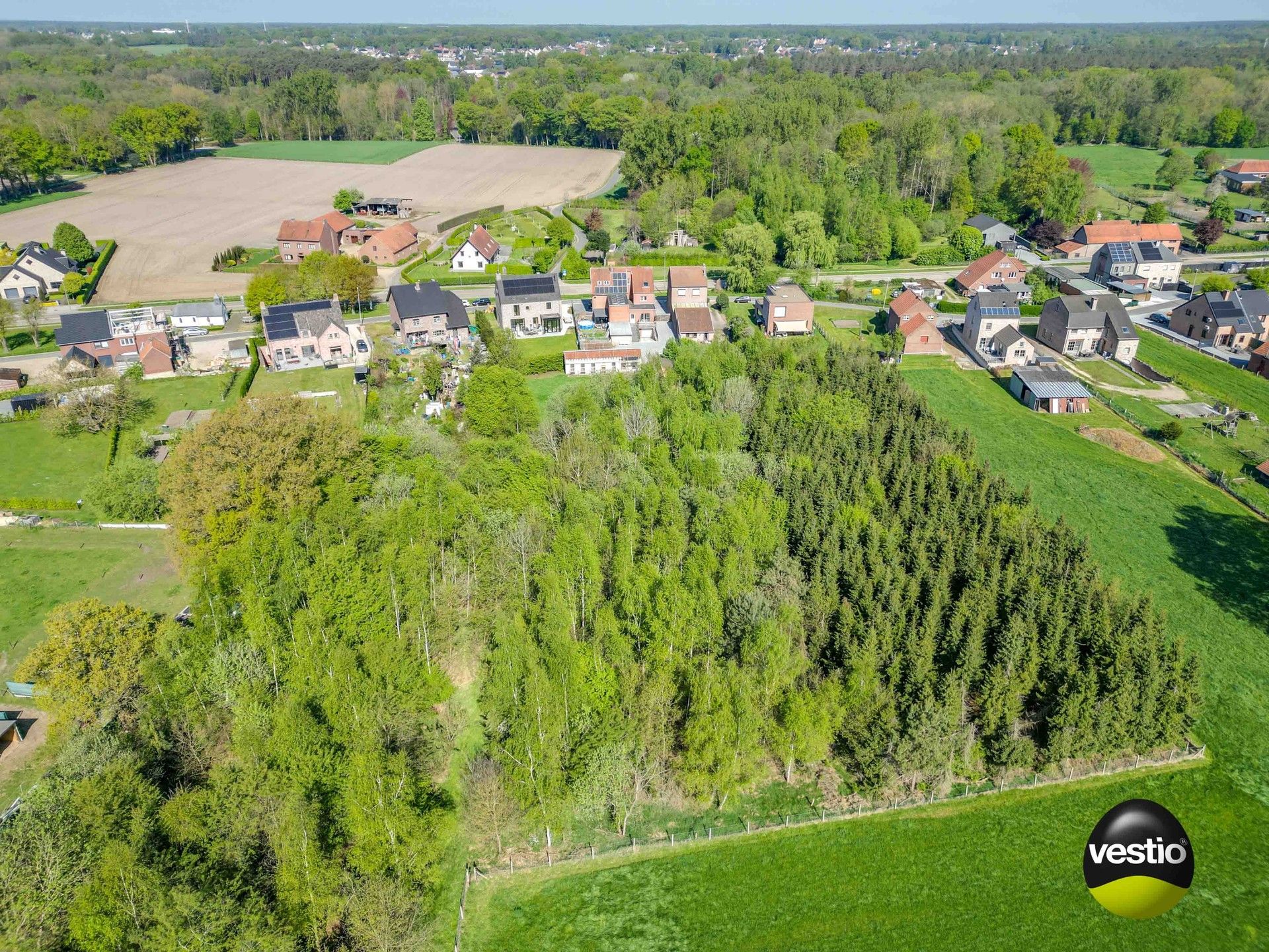 DEGELIJKE WONING MET WEILANDEN OP 1,7 HECTARE foto 3