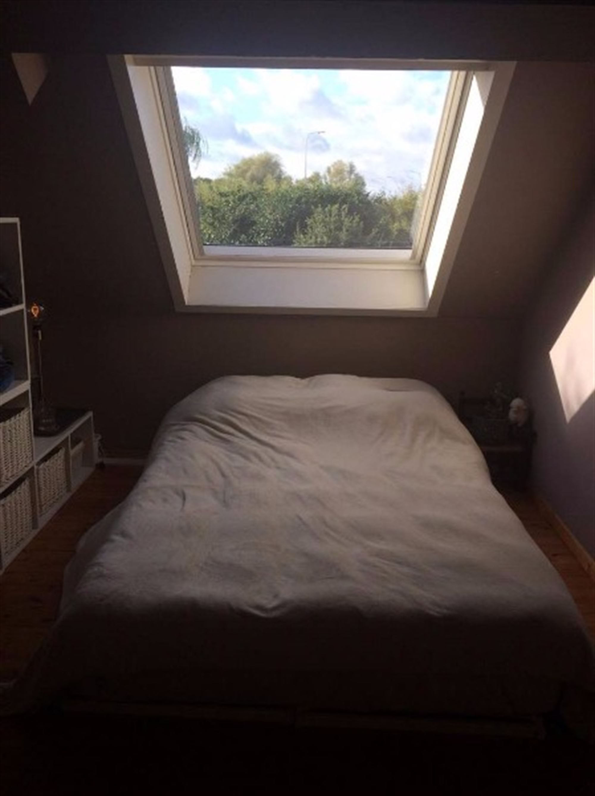 Gezellig appartement foto 17