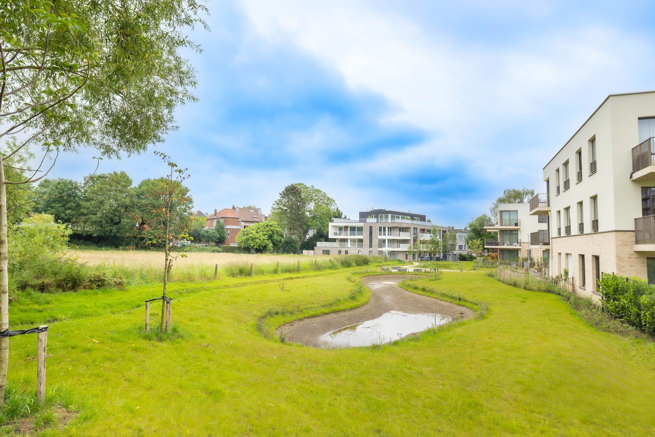 Prachtig nieuw appartement 2 slaapkamers + 3 terrassen  foto 4